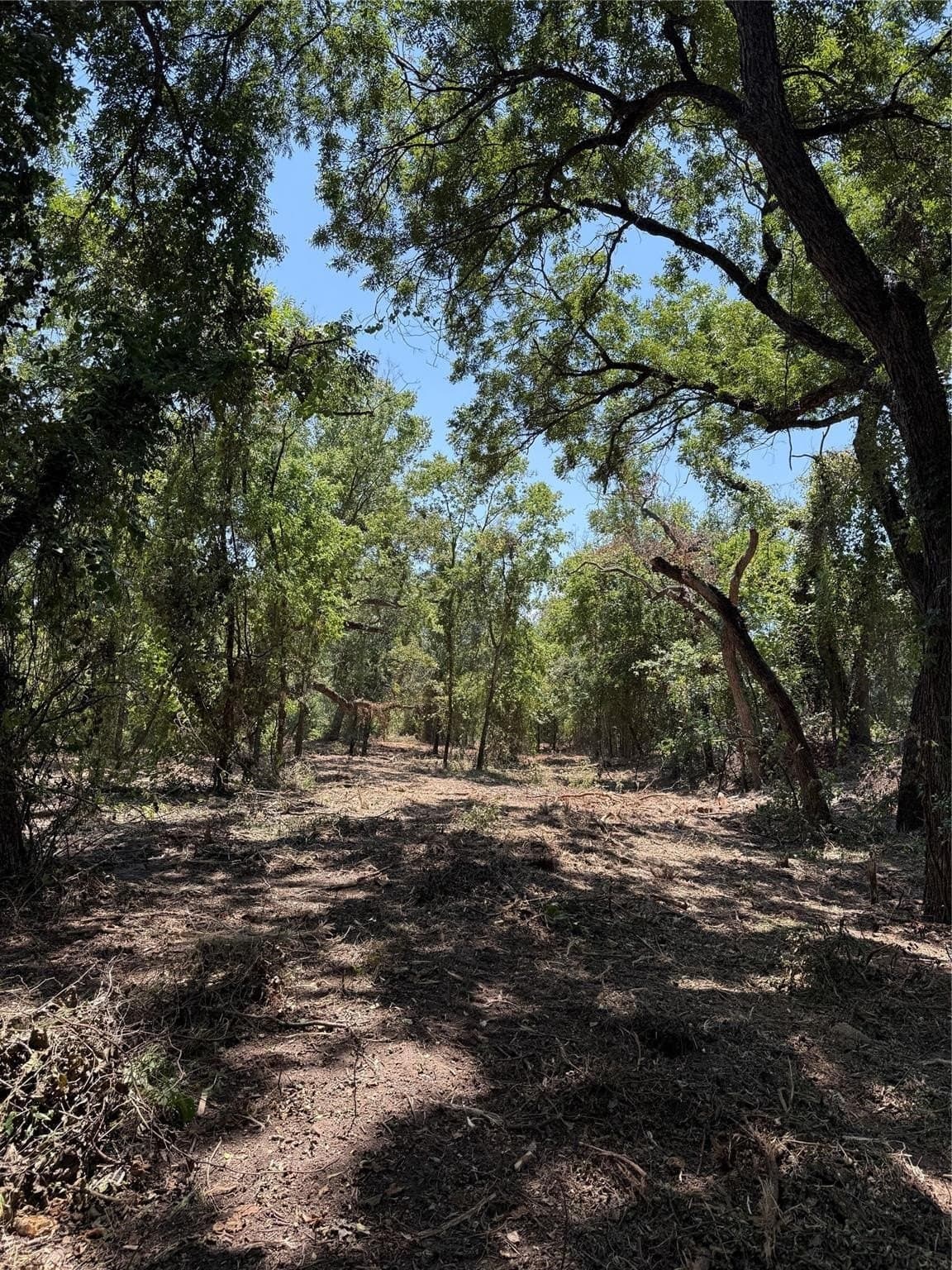 16.51 acres in Hood County gallery image 4