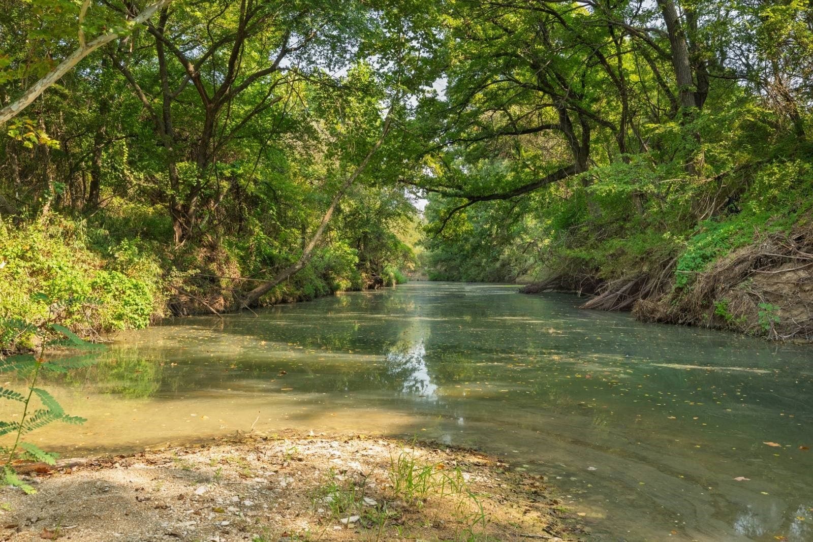 16.51 acres in Hood County - photo 4