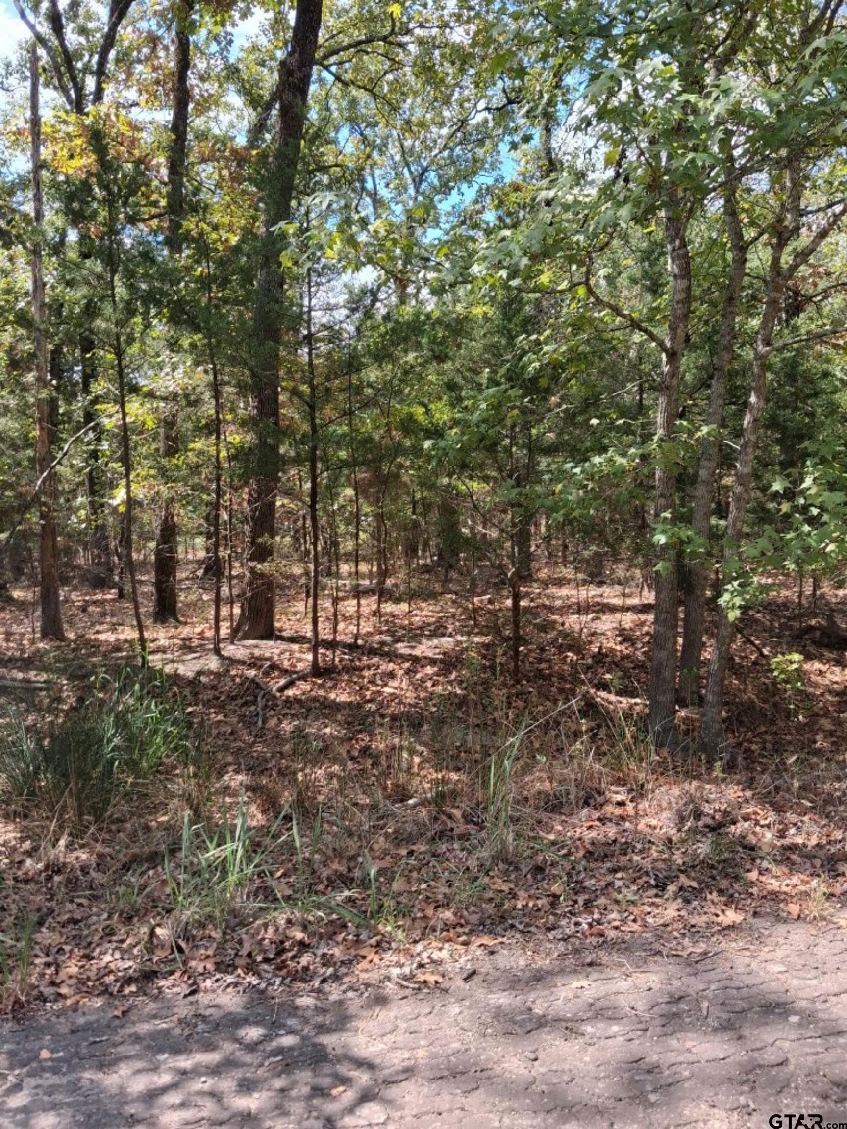 0.24 acres in Van Zandt County - photo 6