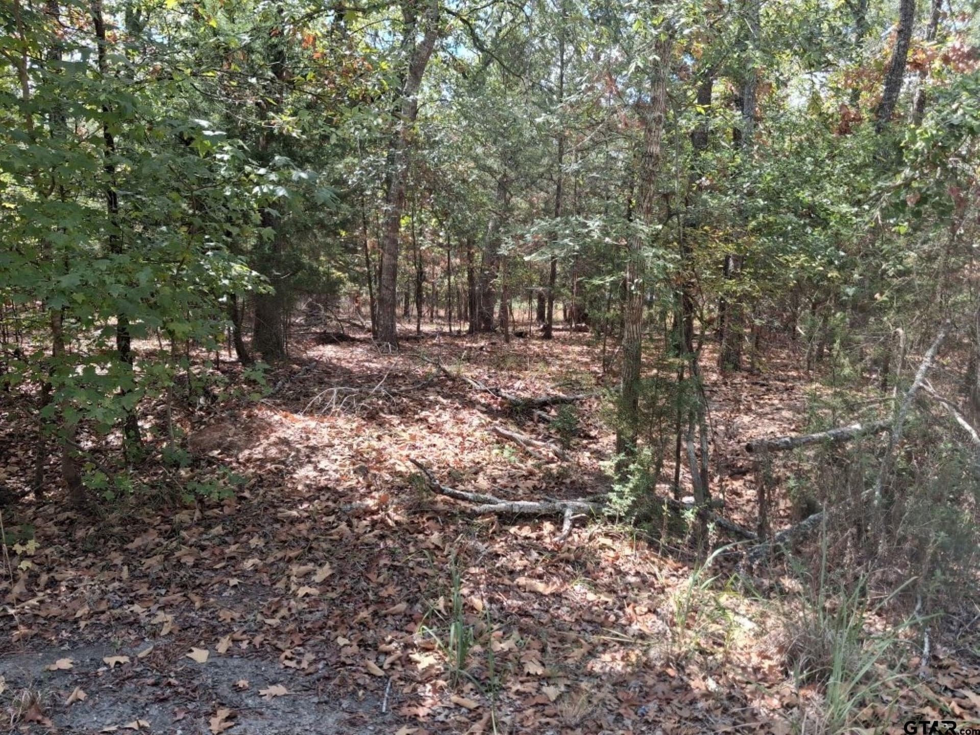 0.24 acres in Van Zandt County - photo 3