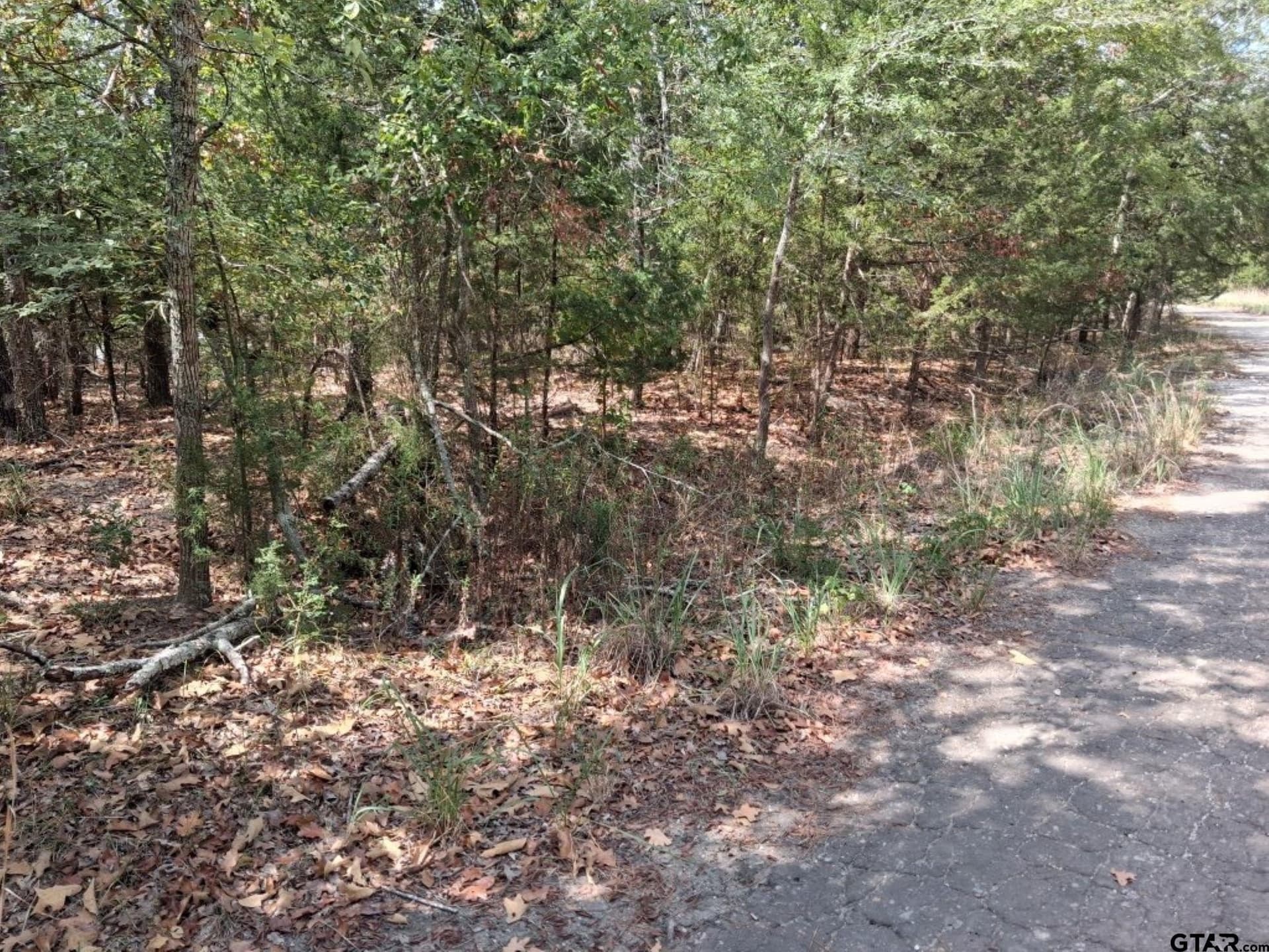 0.24 acres in Van Zandt County - photo 5