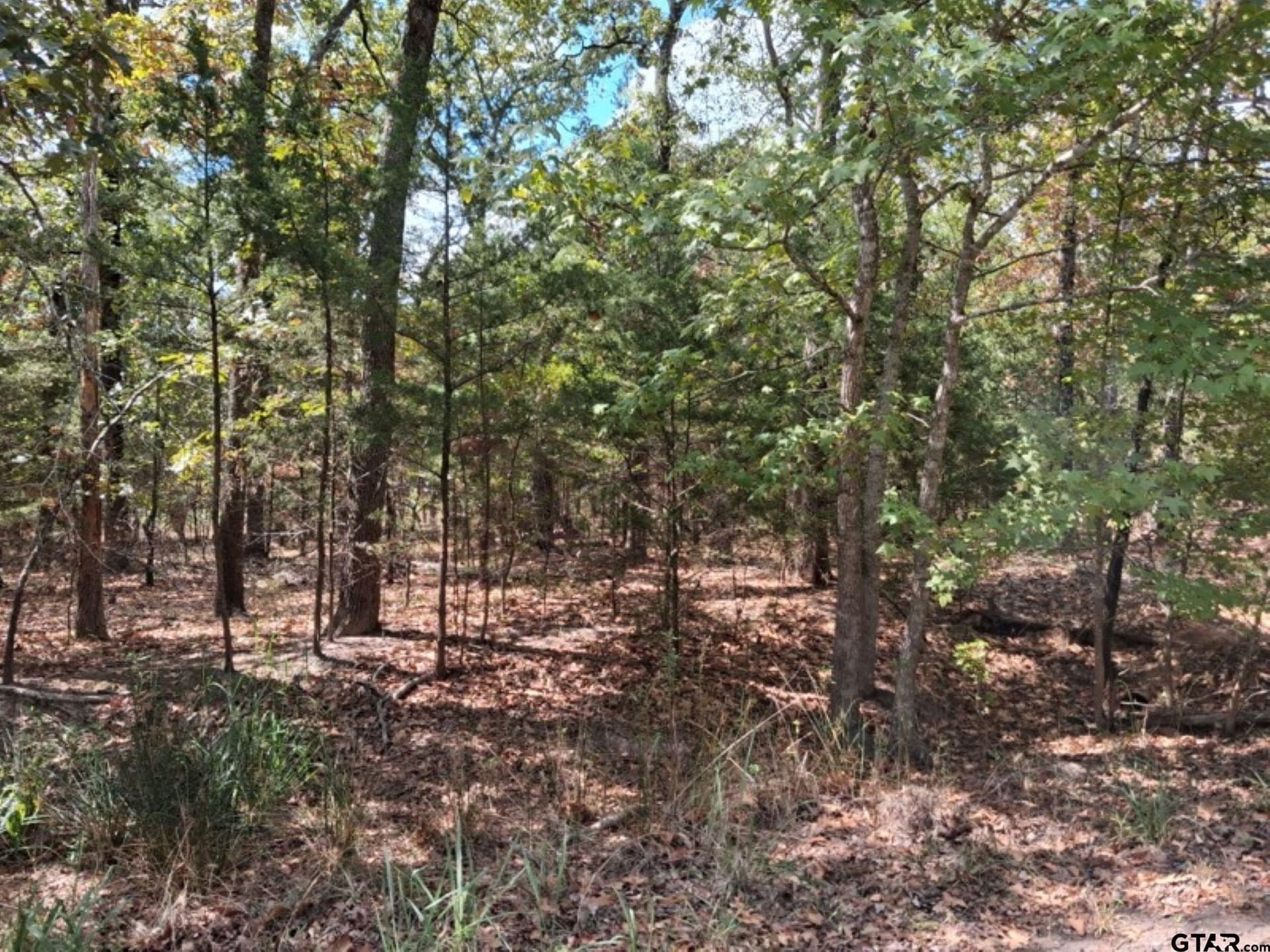 0.24 acres in Van Zandt County - photo 2