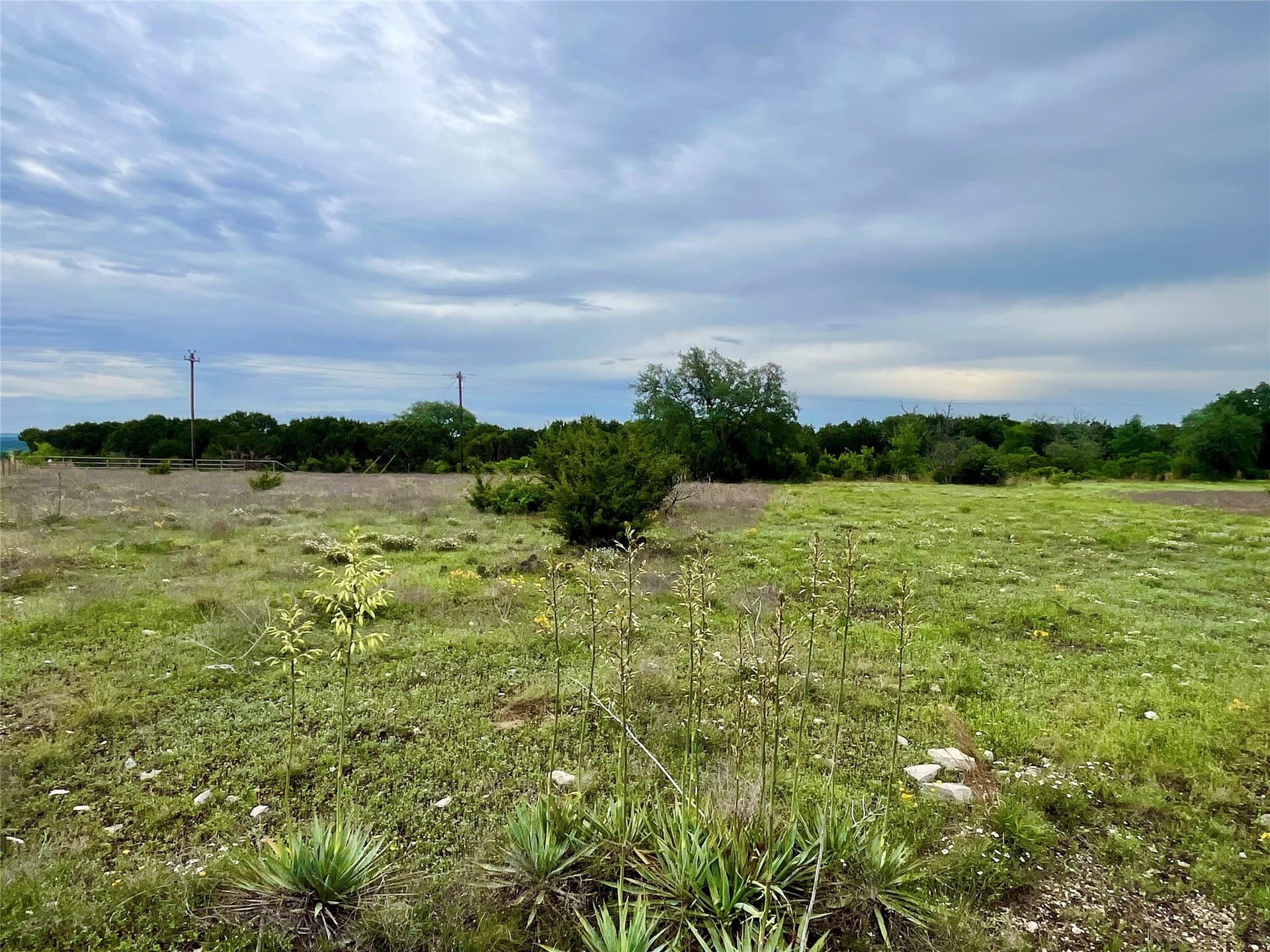 10.01 acres in Hamilton County gallery image 4