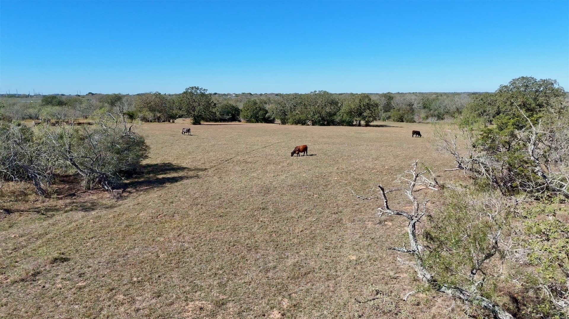 668 acres in Gonzales County - photo 5