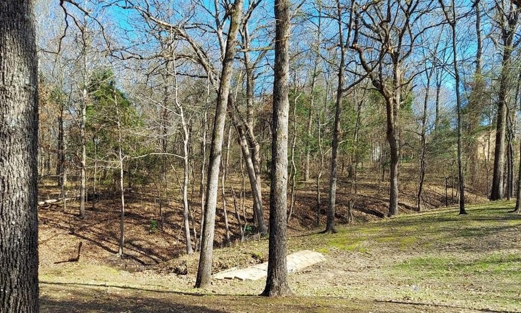 0.52 acres in Wood County gallery image 3