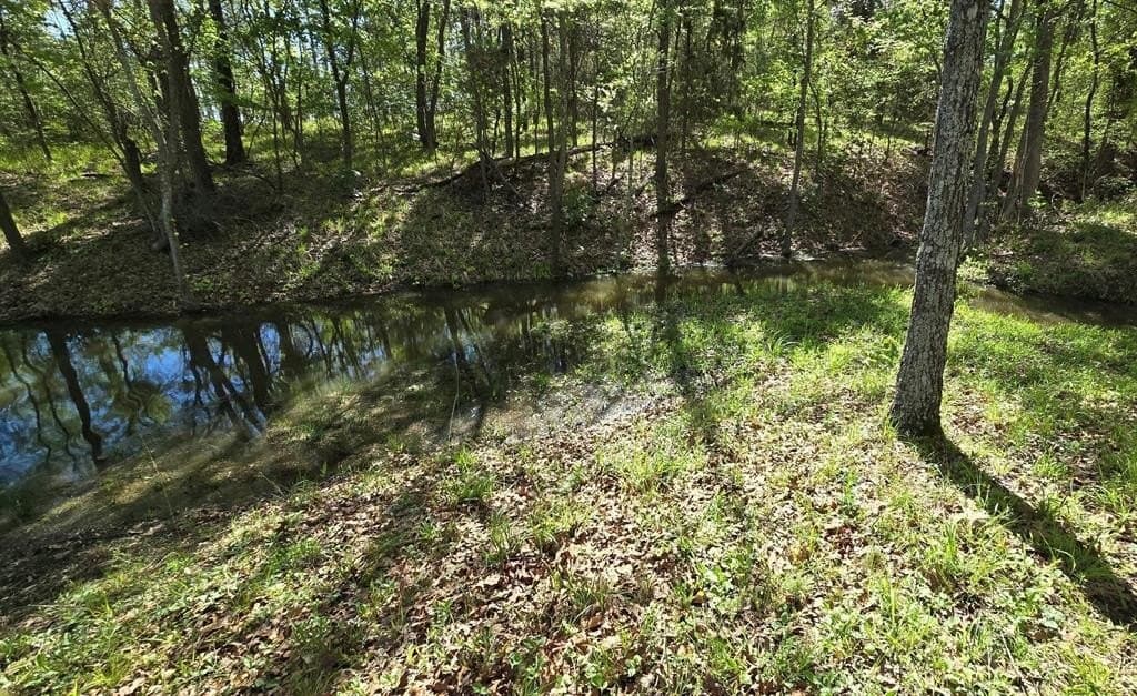 0.52 acres in Wood County gallery image 4