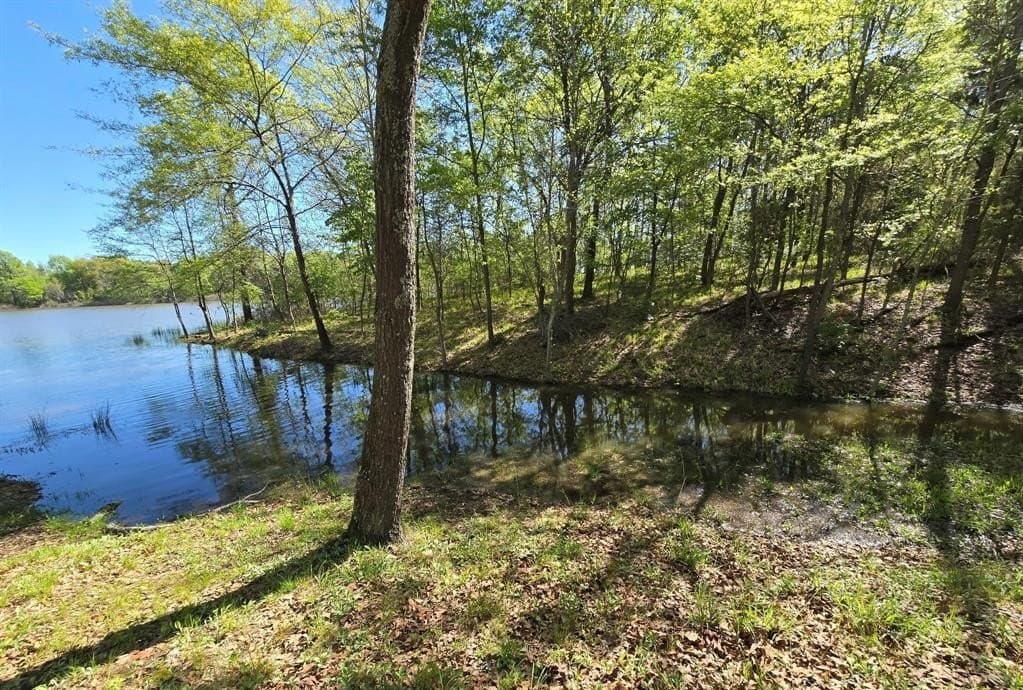 0.52 acres in Wood County featured view