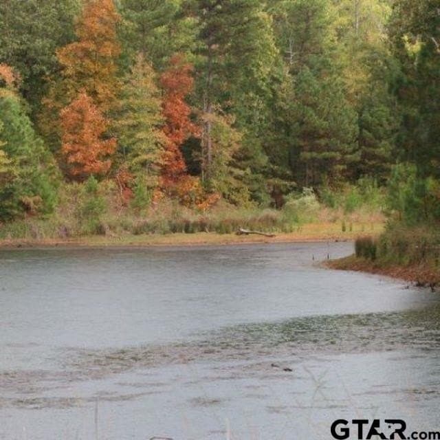 3.08 acres in Anderson County - photo 8