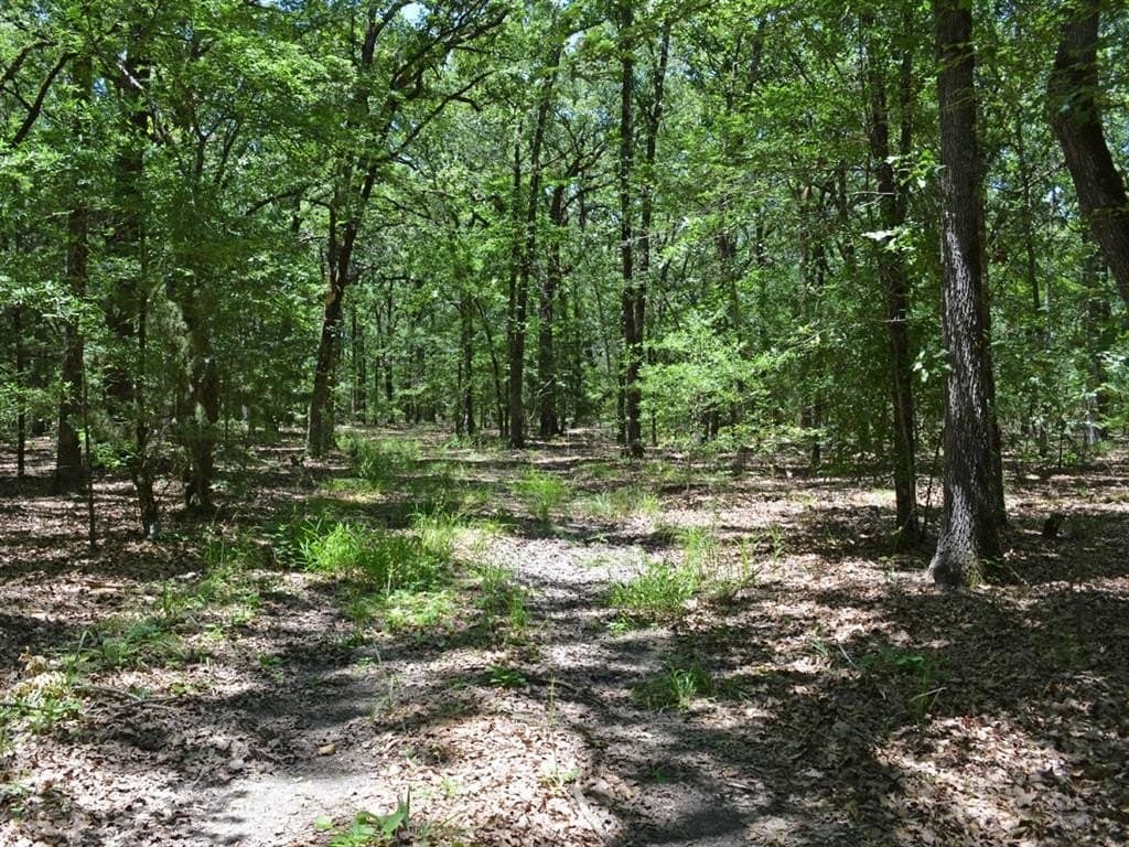 213 acres in Lamar County