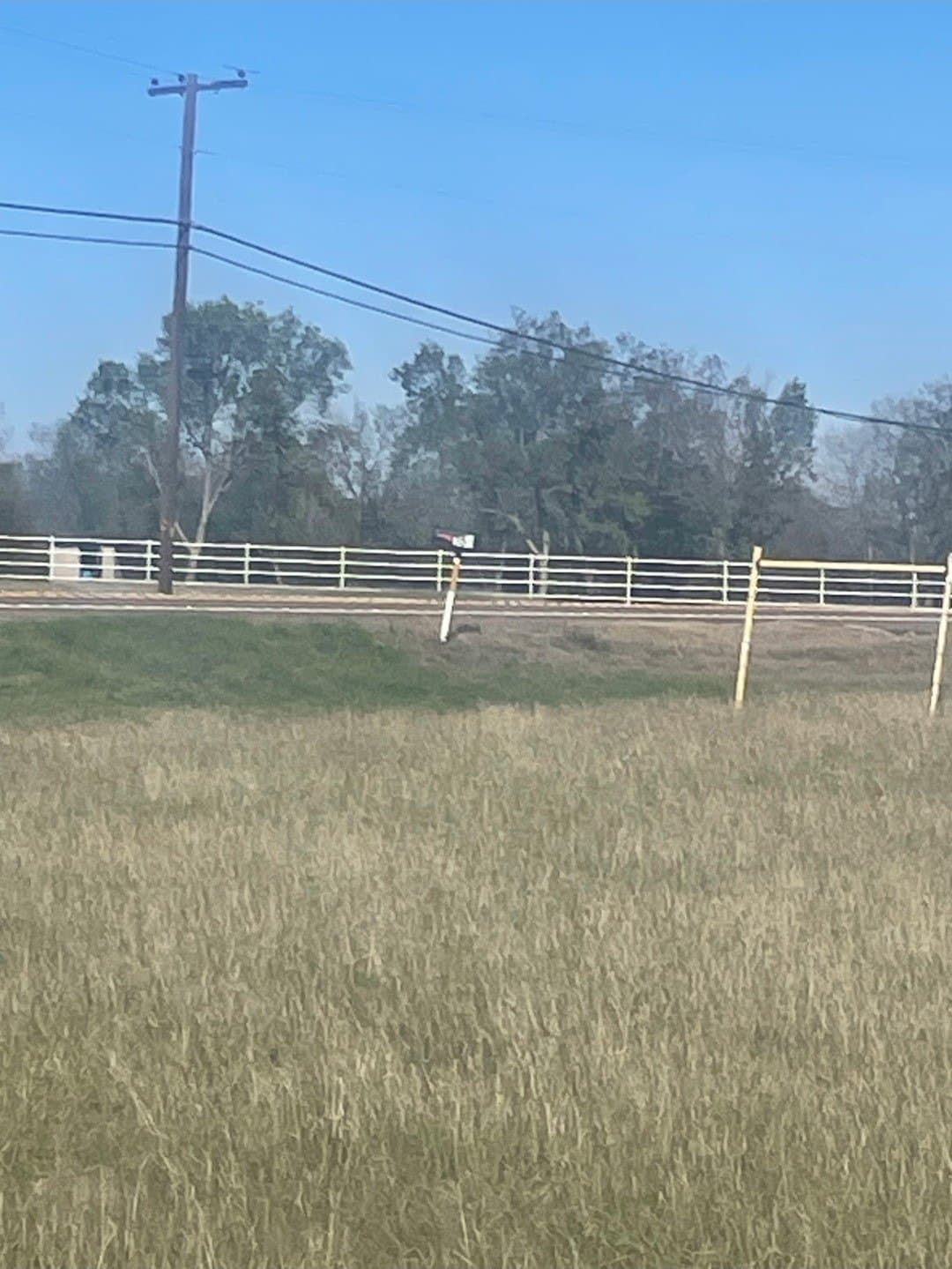 2 acres in Navarro County gallery image 4