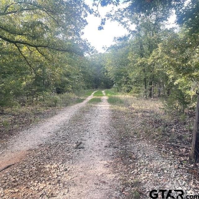 298.69 acres in Wood County