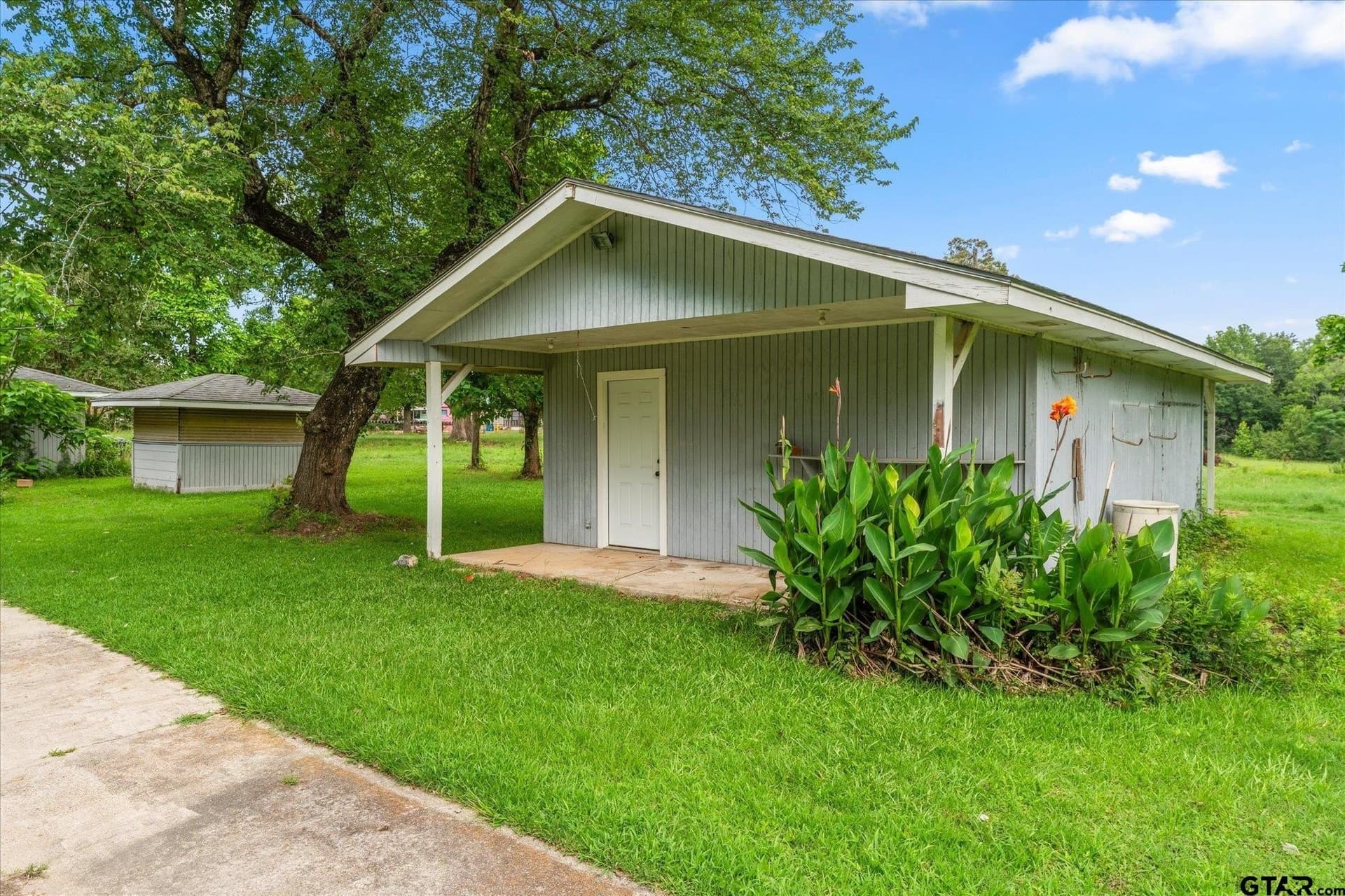 25 acres in Titus County featured view