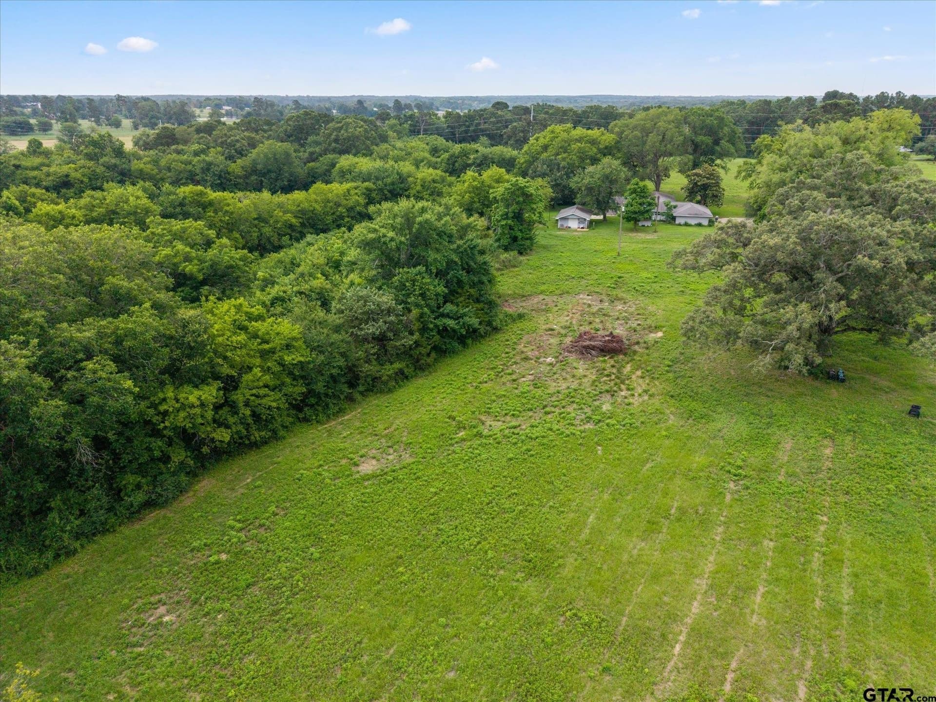 25 acres in Titus County - photo 30