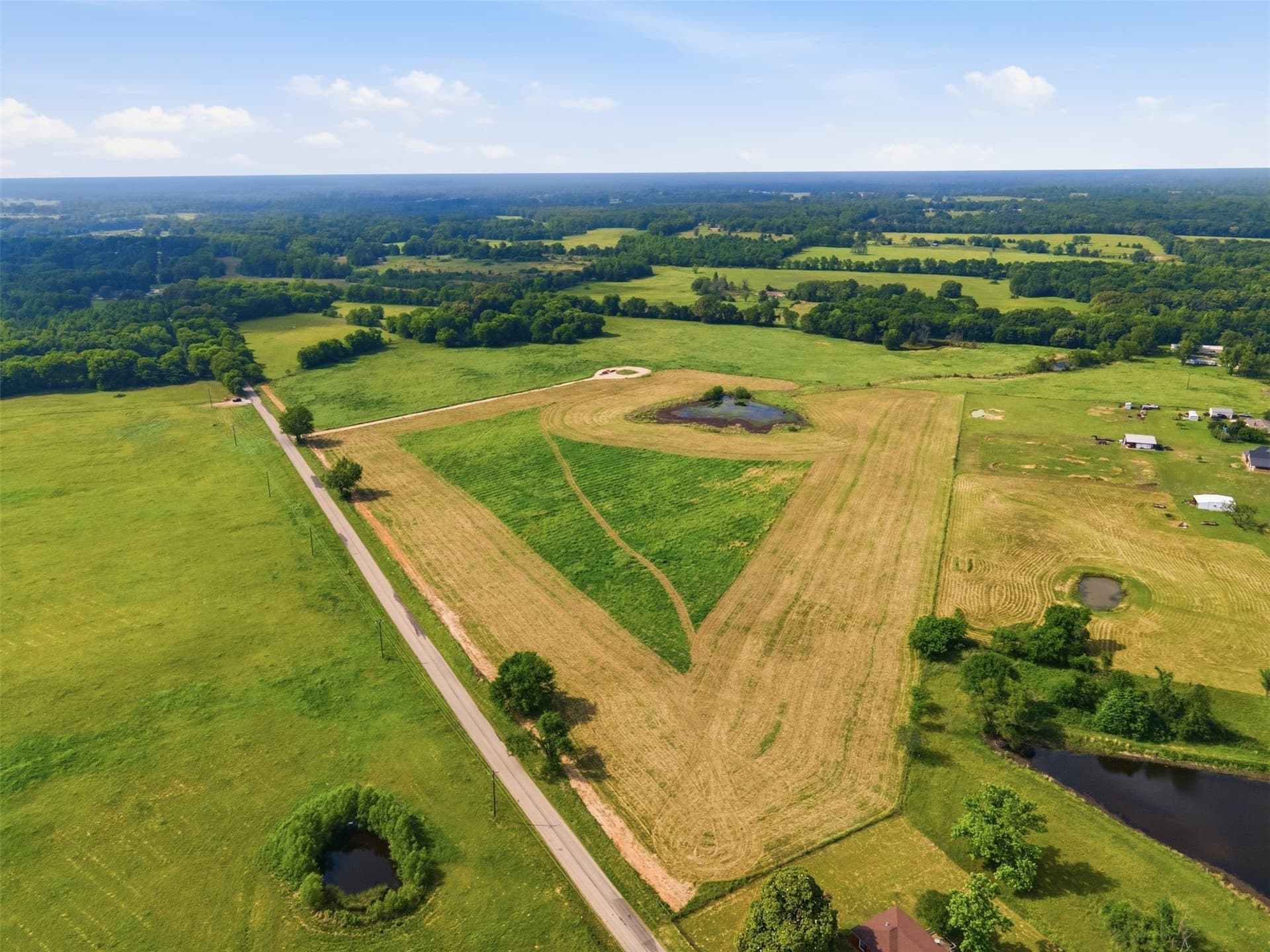 10 acres in Titus County - photo 3
