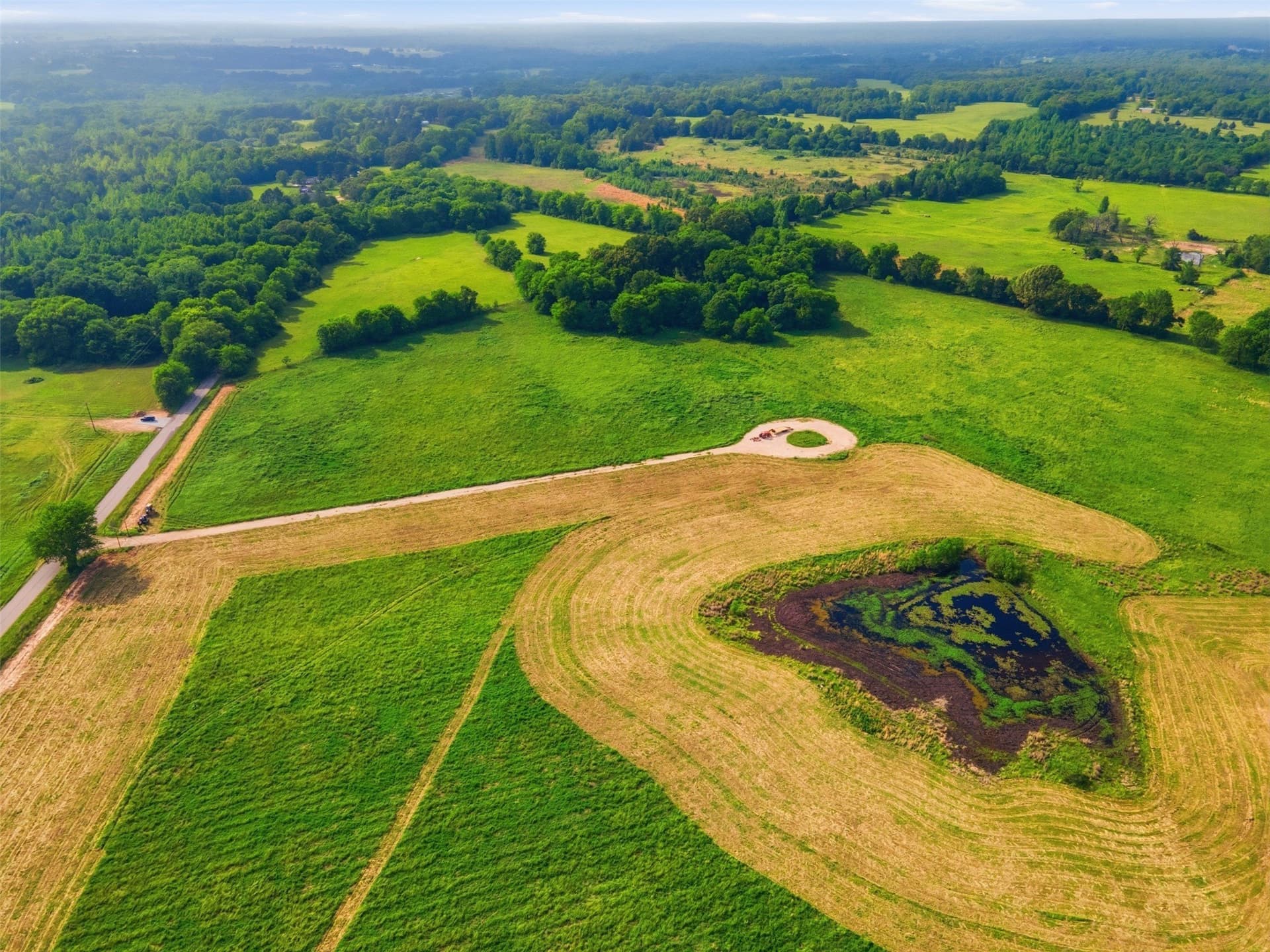 10 acres in Titus County - photo 20