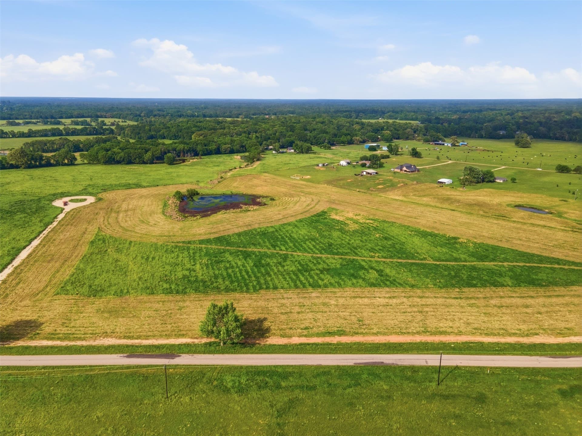 10 acres in Titus County - photo 18