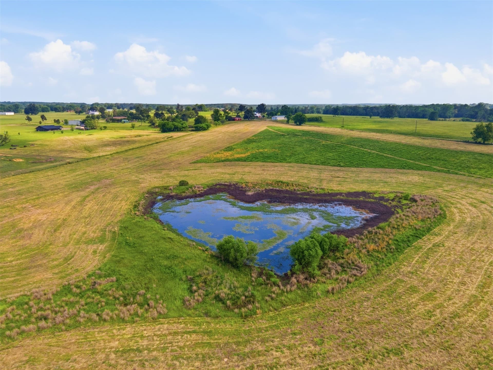 10 acres in Titus County - photo 12