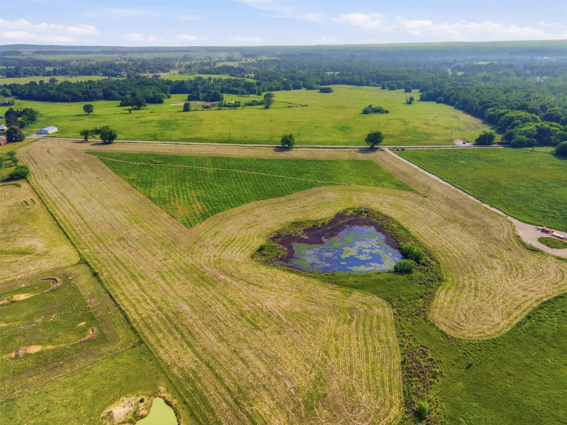 10 acres in Titus County - photo 17