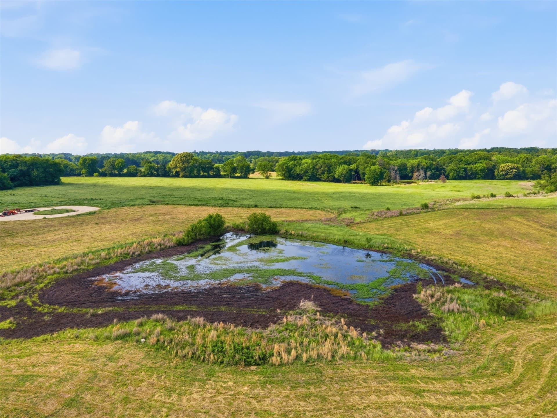 10 acres in Titus County - photo 10