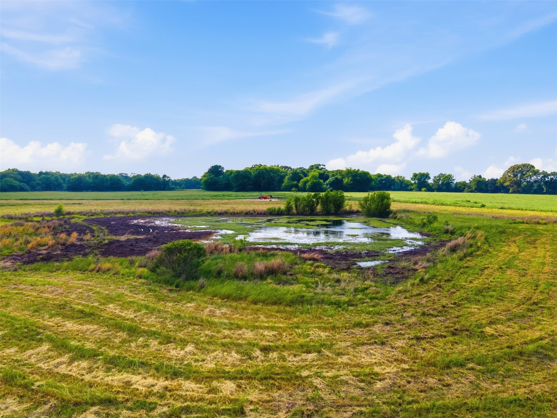 10 acres in Titus County - photo 8