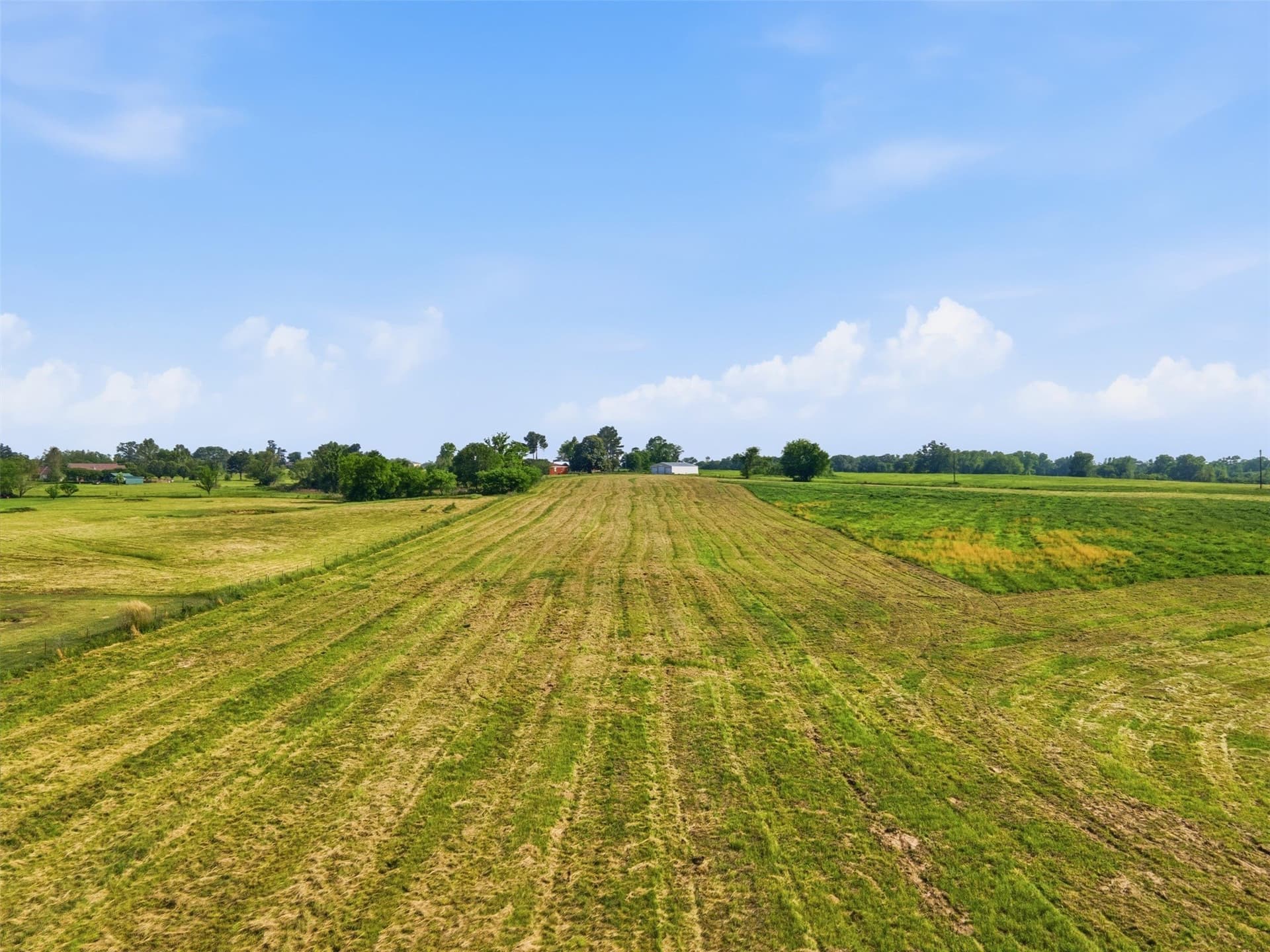 10 acres in Titus County - photo 15