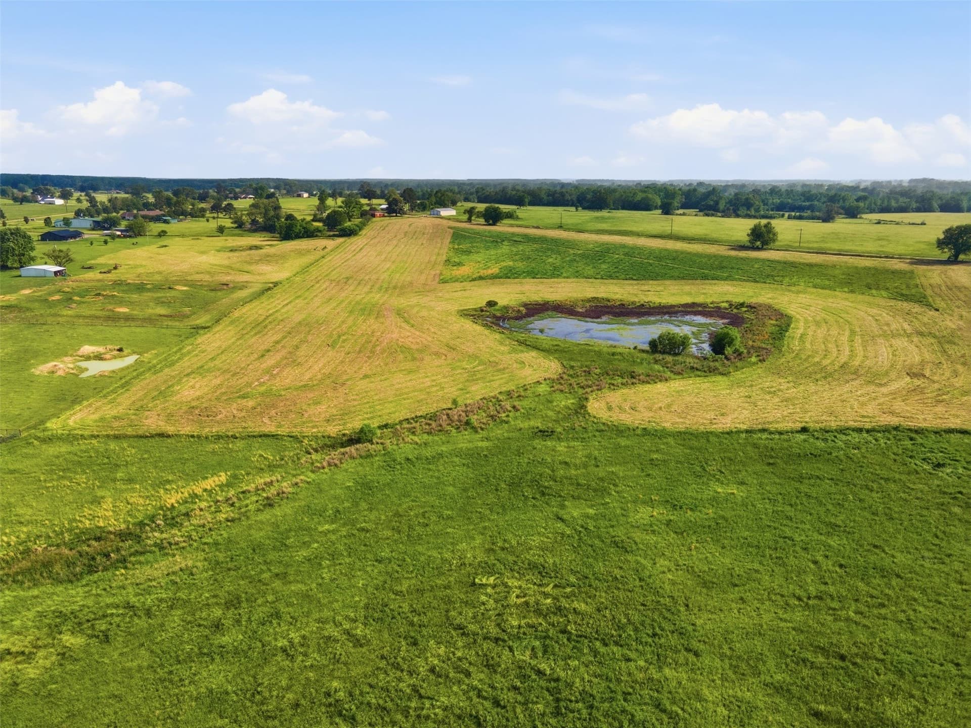10 acres in Titus County - photo 14