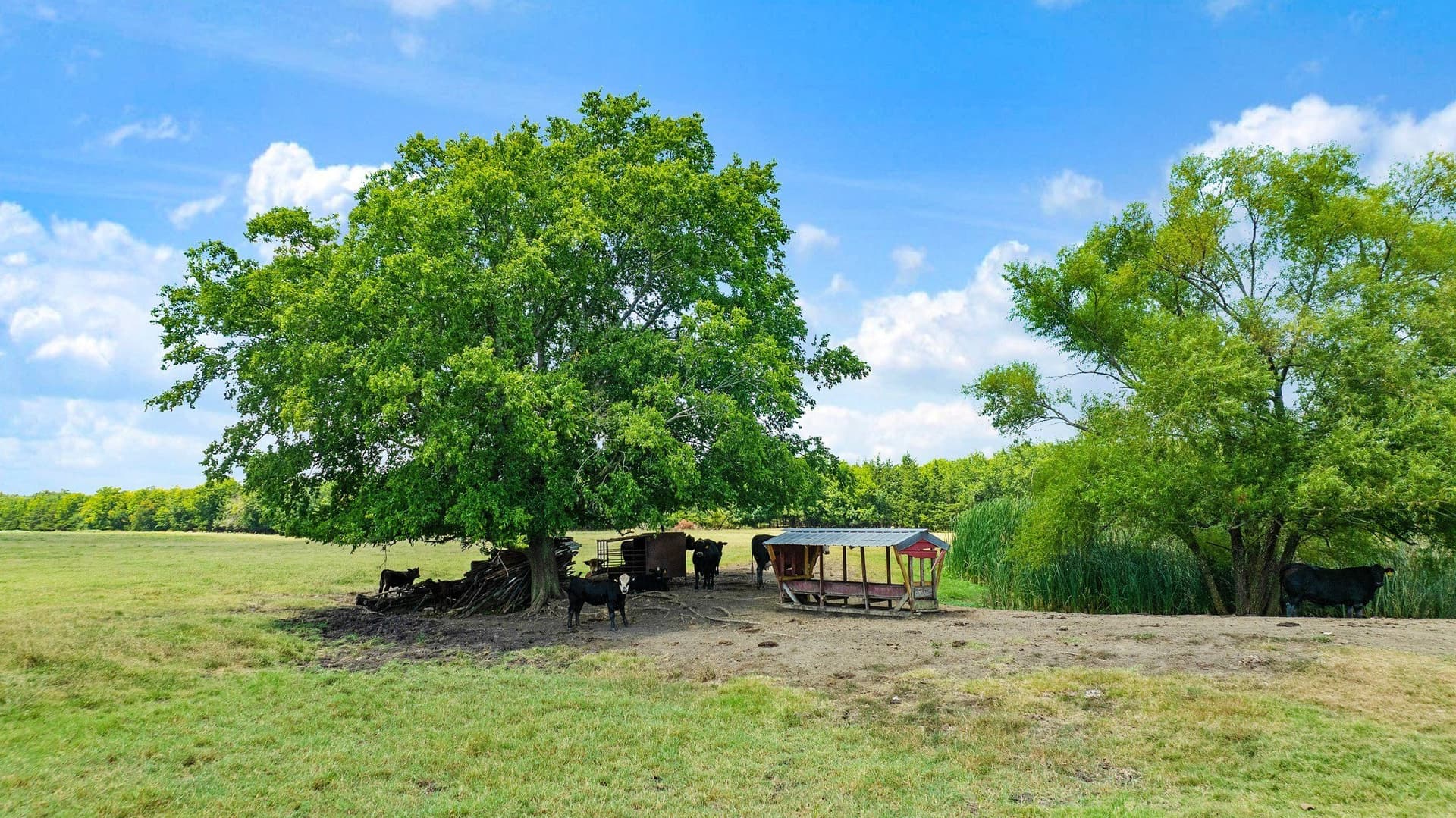 85.75 acres in Red River (TX) County - photo 33