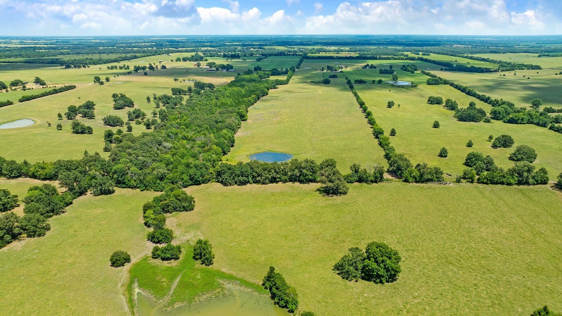 85.75 acres in Red River (TX) County - photo 30