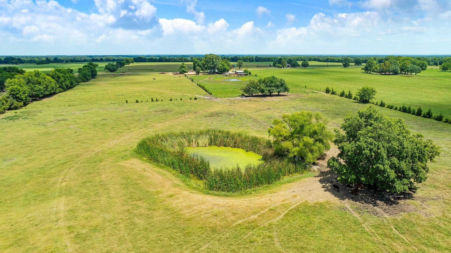 85.75 acres in Red River (TX) County - photo 32