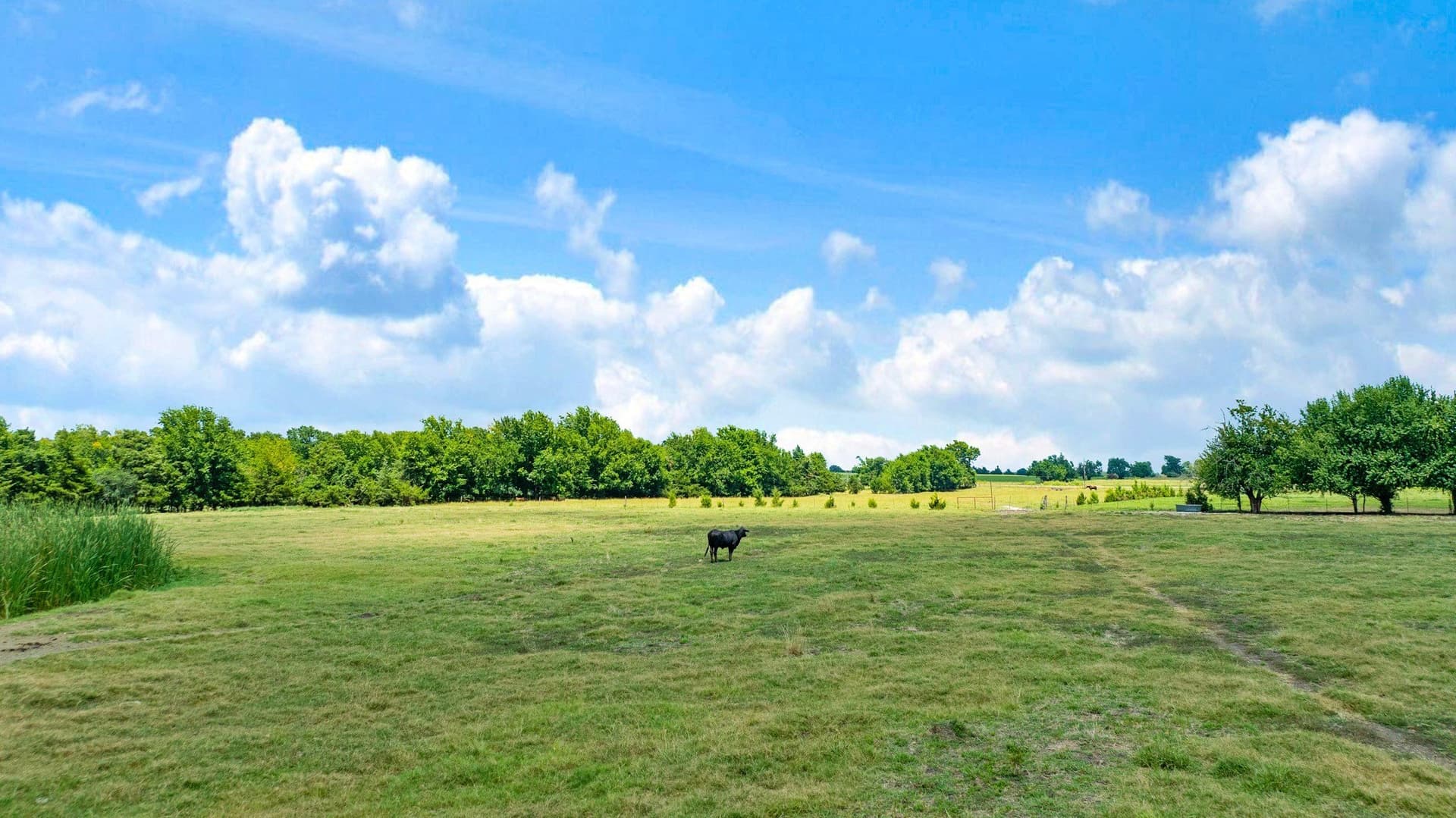 85.75 acres in Red River (TX) County - photo 34