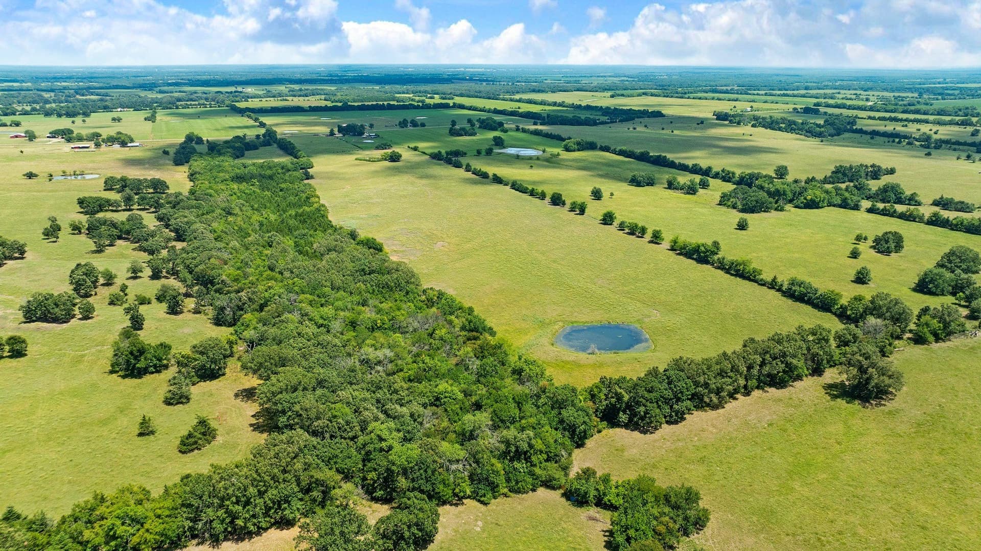 85.75 acres in Red River (TX) County - photo 26