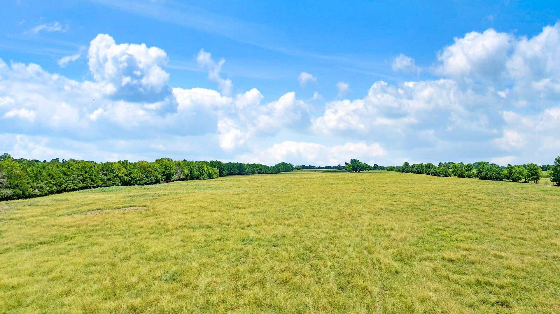 85.75 acres in Red River (TX) County - photo 39