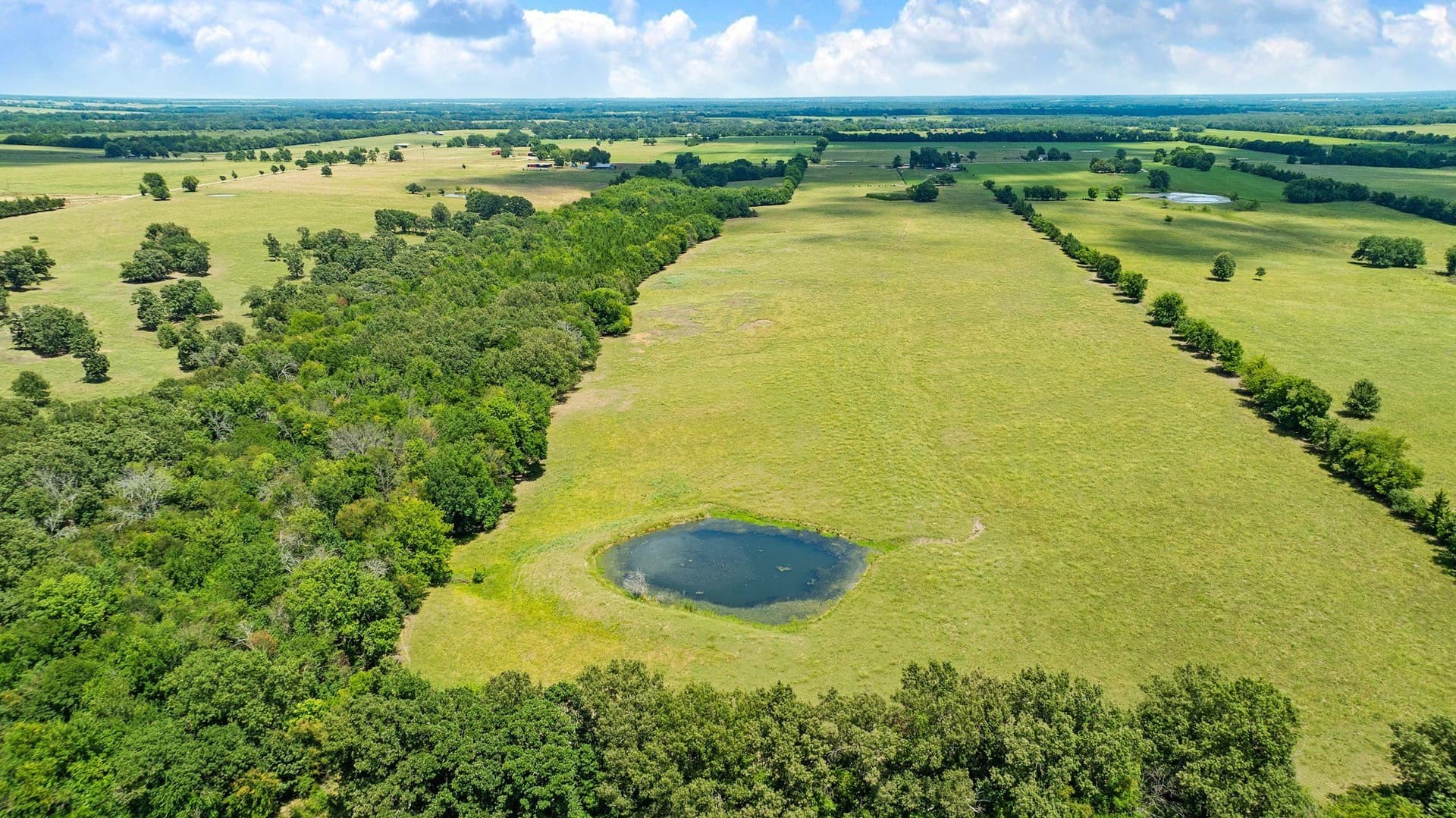 85.75 acres in Red River (TX) County - photo 28