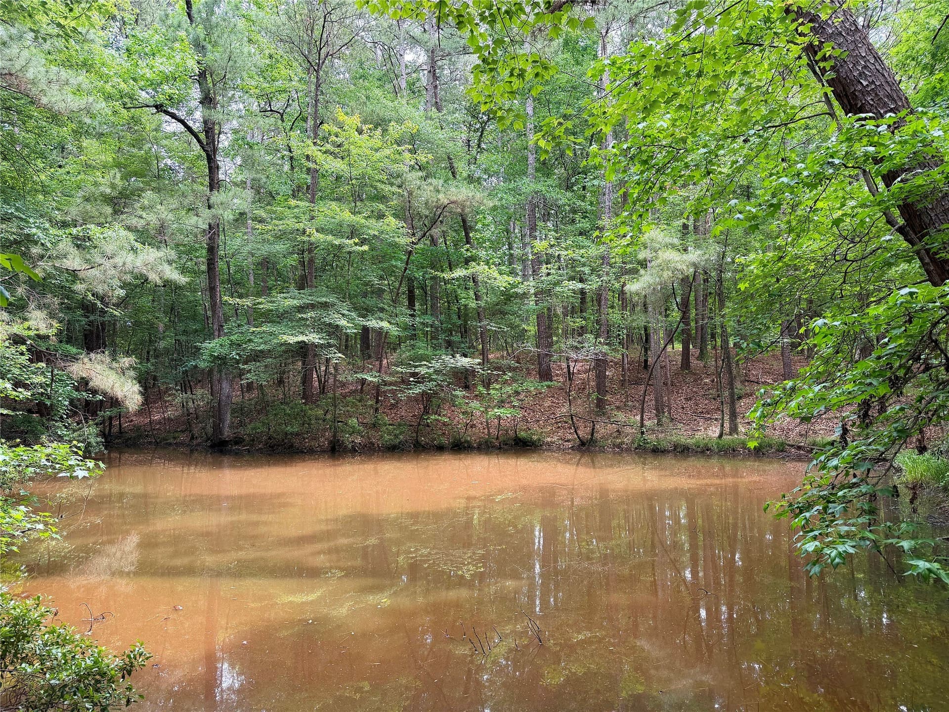 0.86 acres in Marion County - photo 3