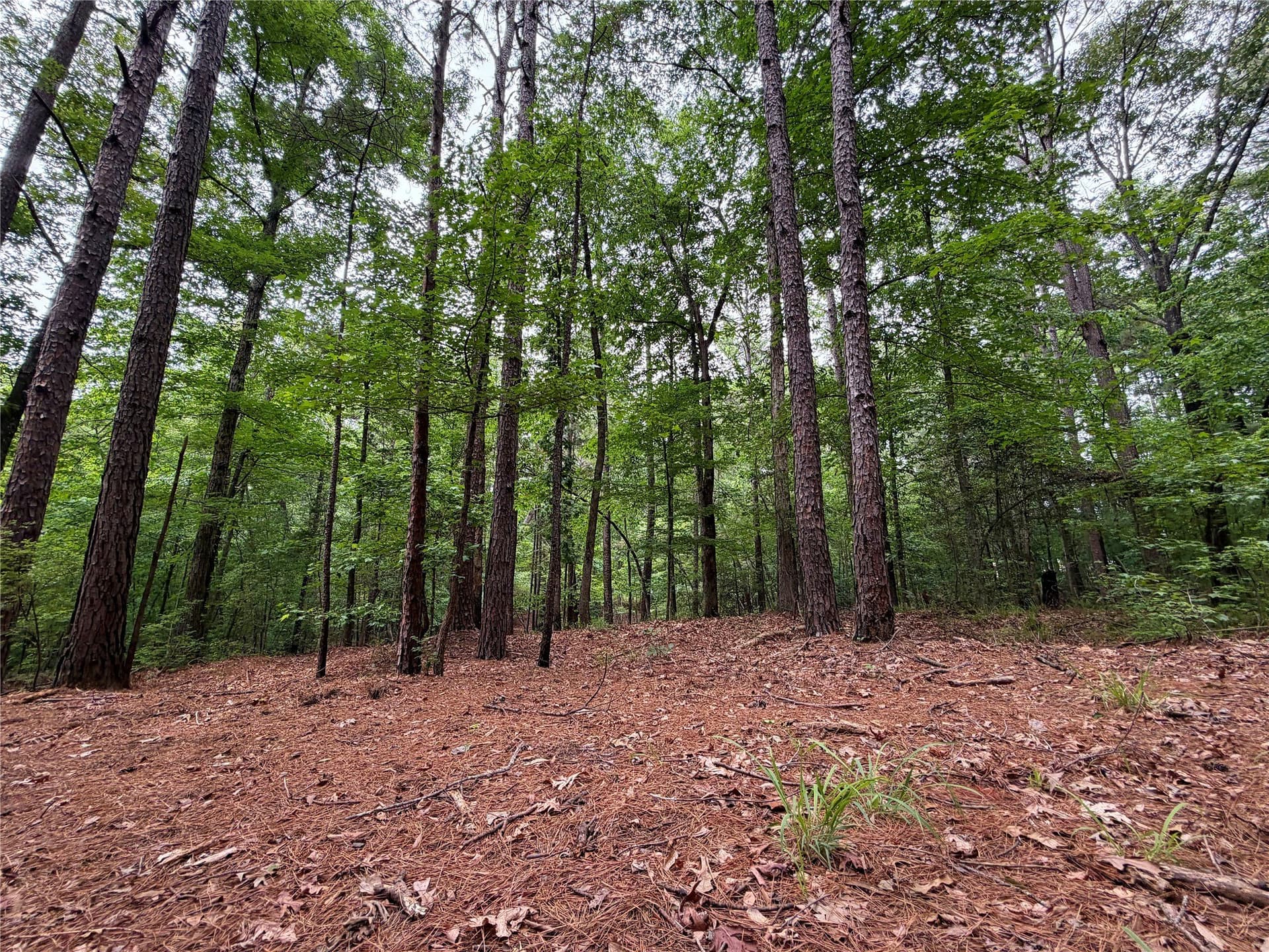 0.86 acres in Marion County - photo 2