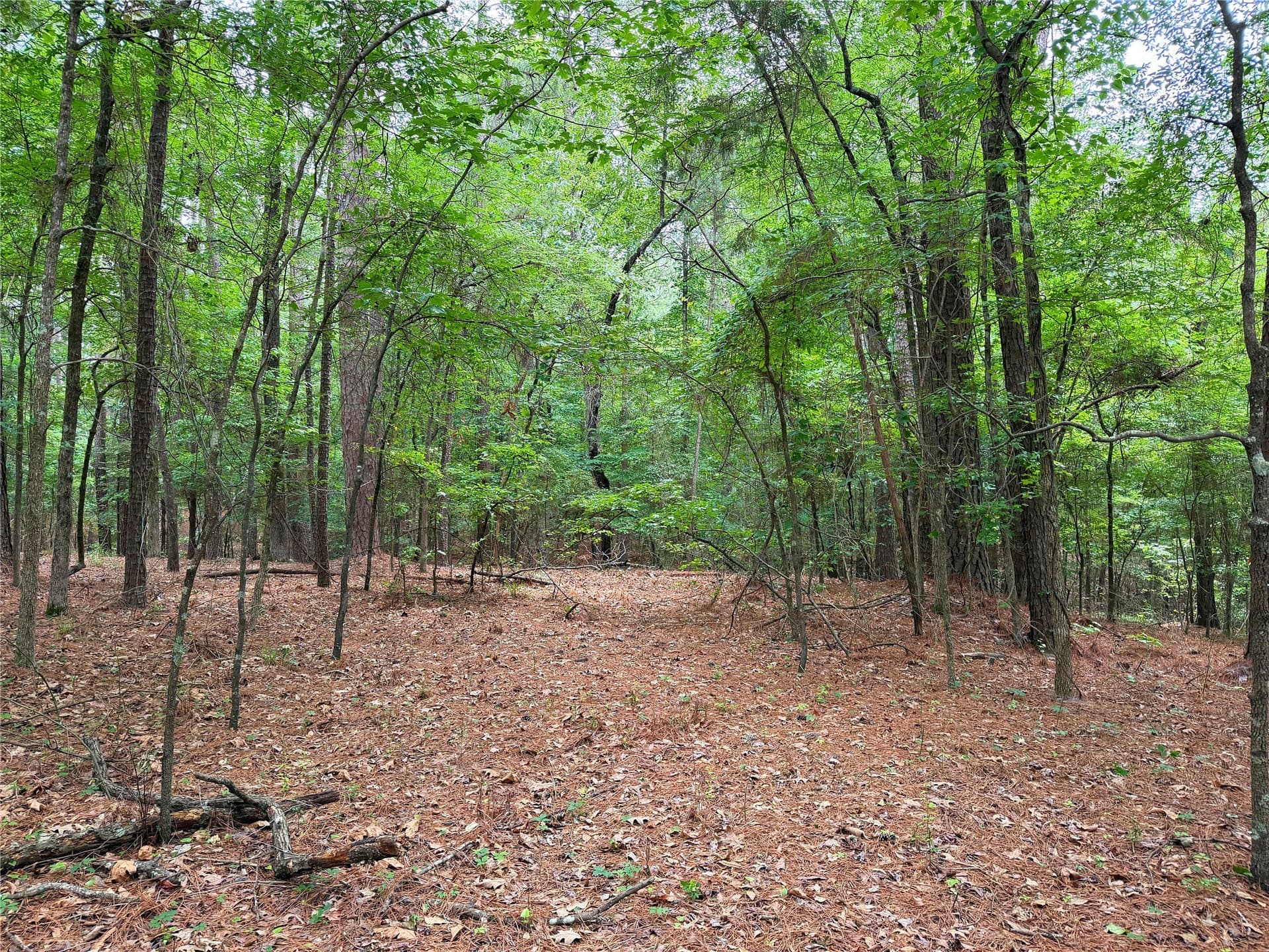 0.86 acres in Marion County - photo 5
