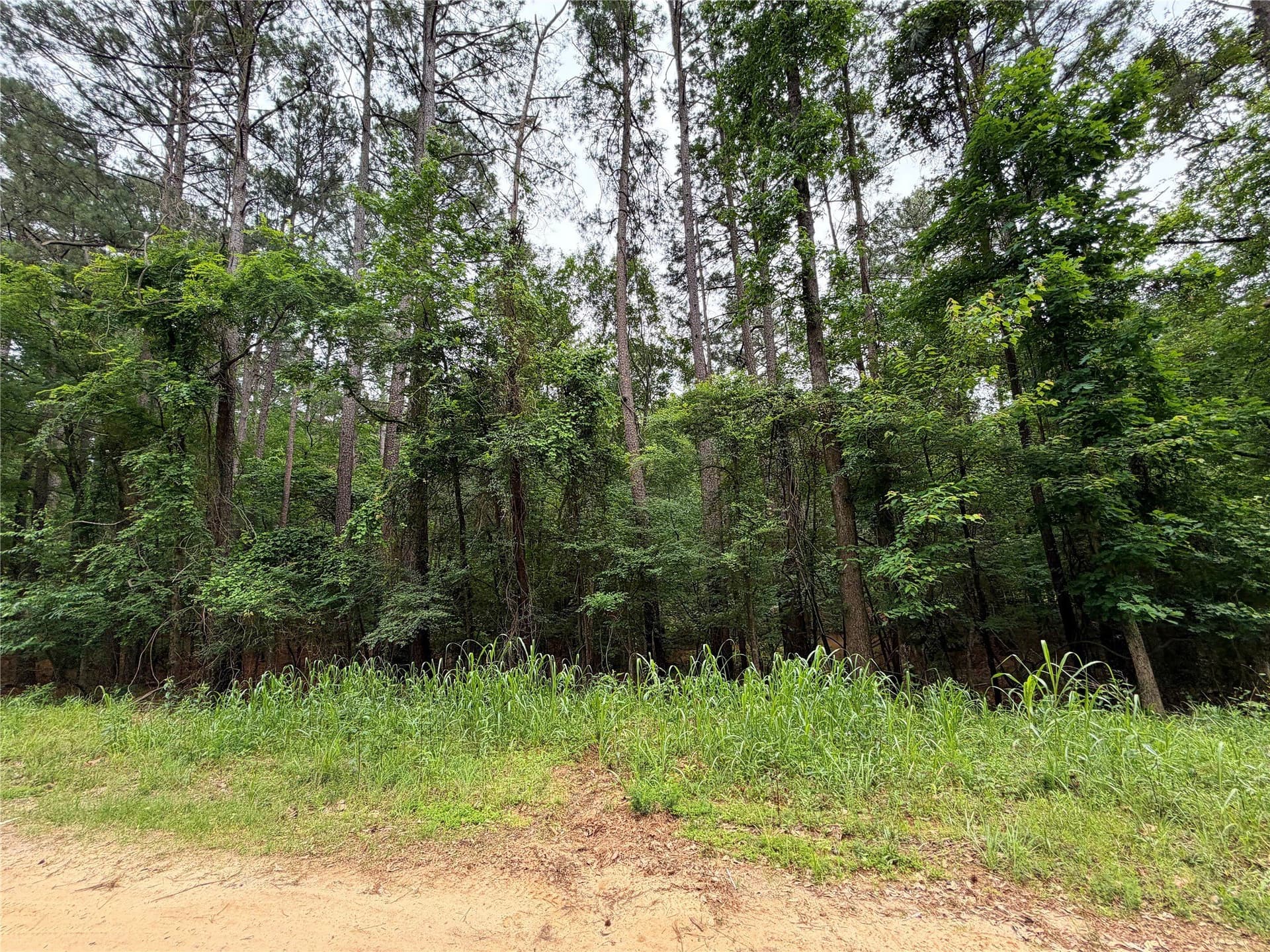 0.86 acres in Marion County - photo 6