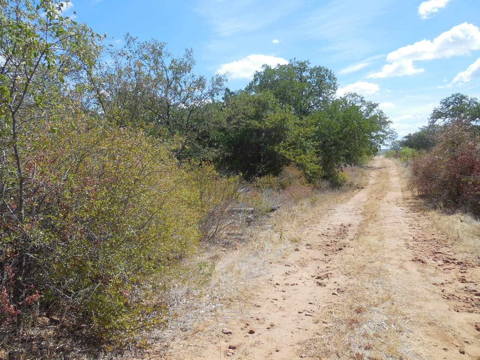 10 acres in Stephens County featured view