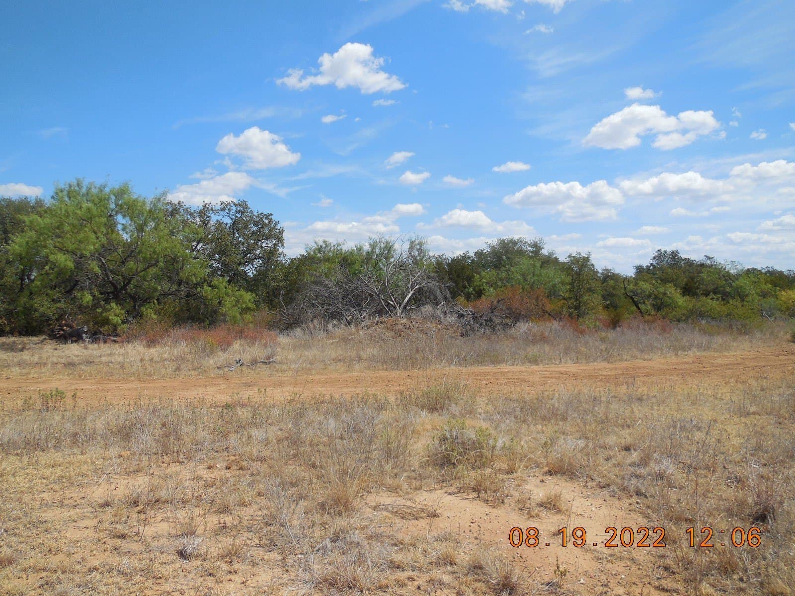 10 acres in Stephens County gallery image 2