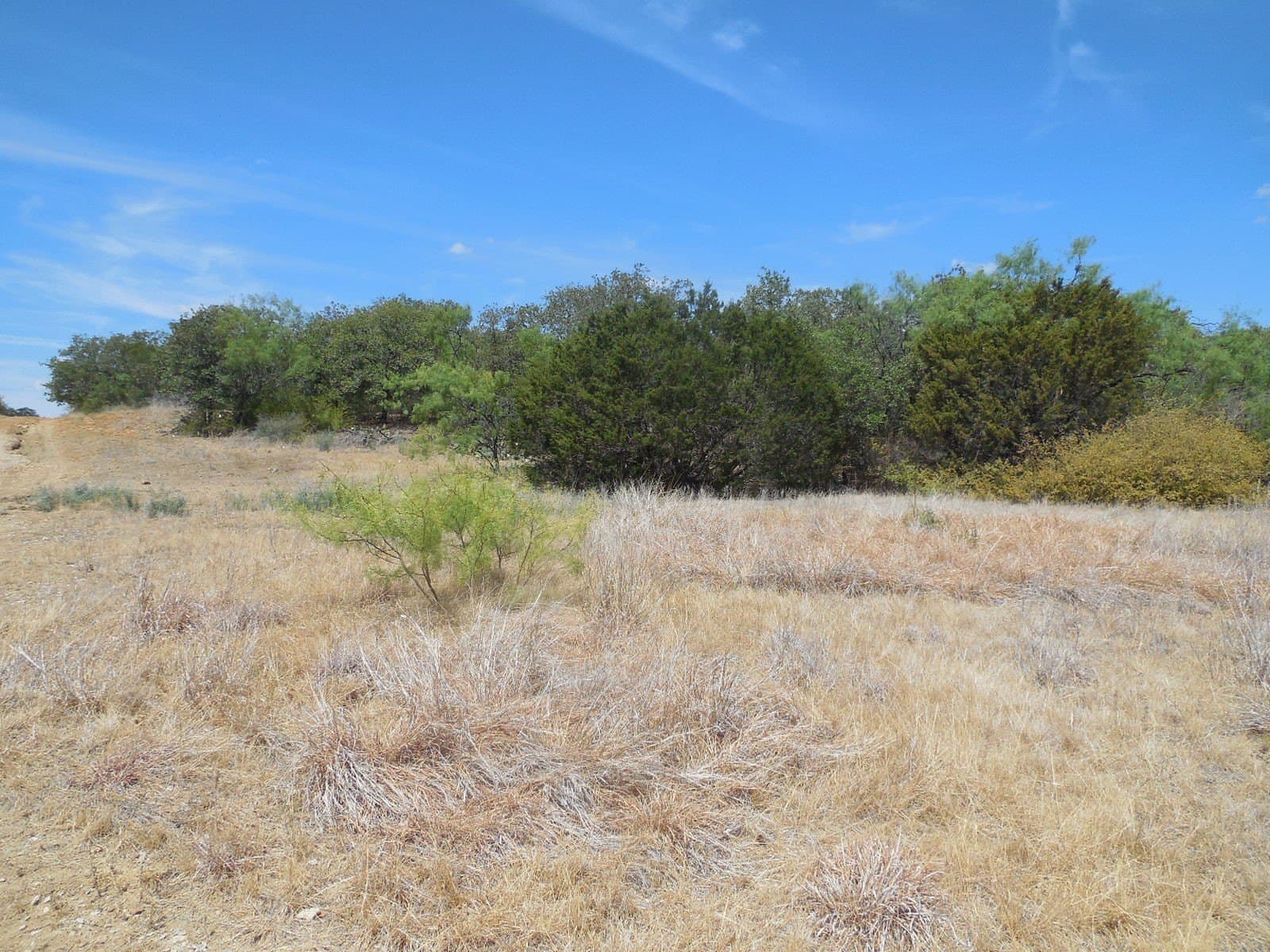 10 acres in Stephens County - photo 9