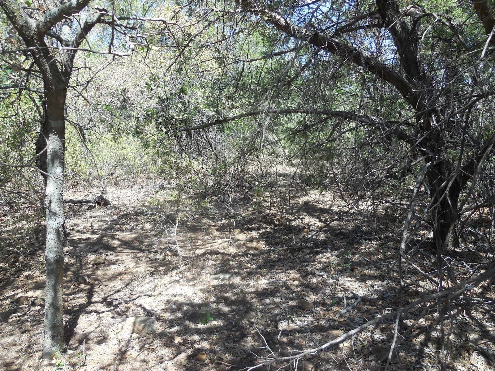 10 acres in Stephens County - photo 6