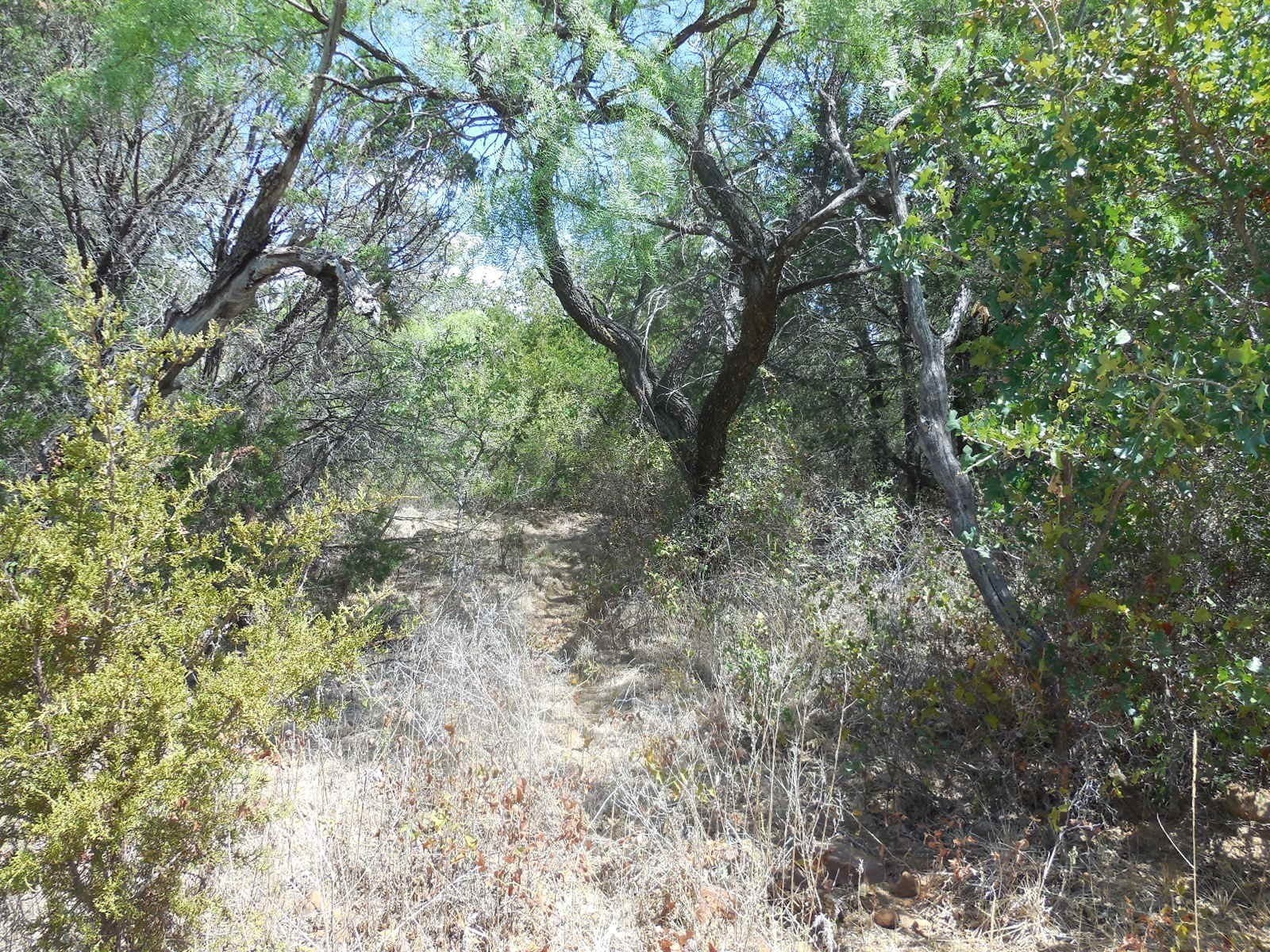 10 acres in Stephens County - photo 8