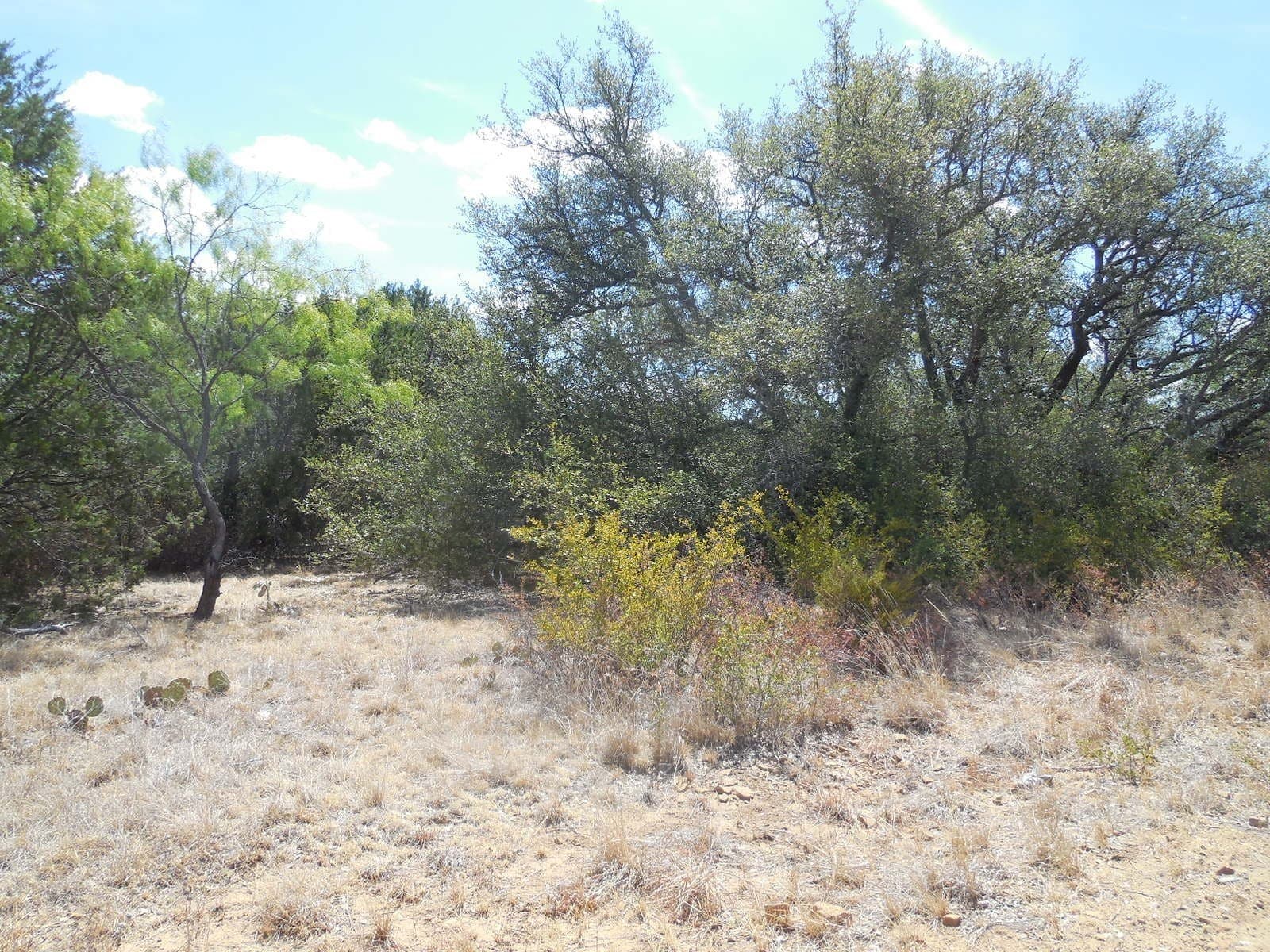 10 acres in Stephens County gallery image 4