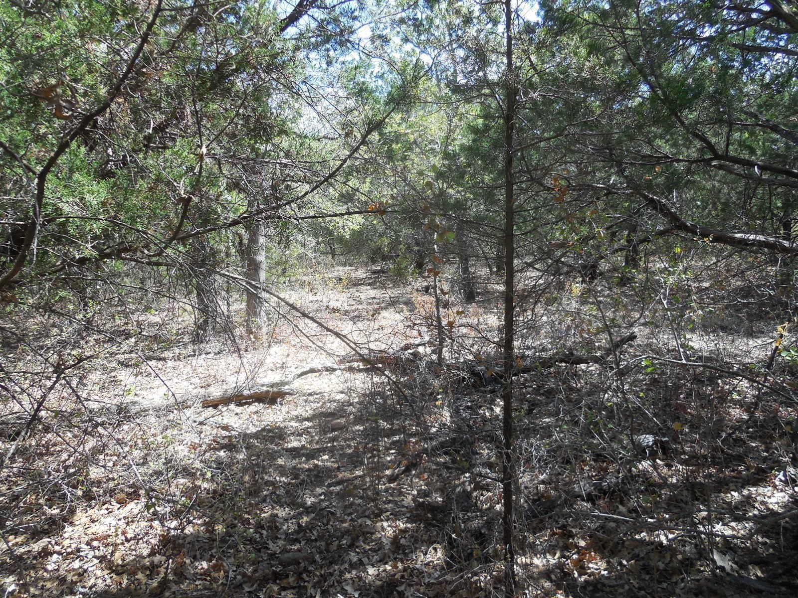 10 acres in Stephens County - photo 7