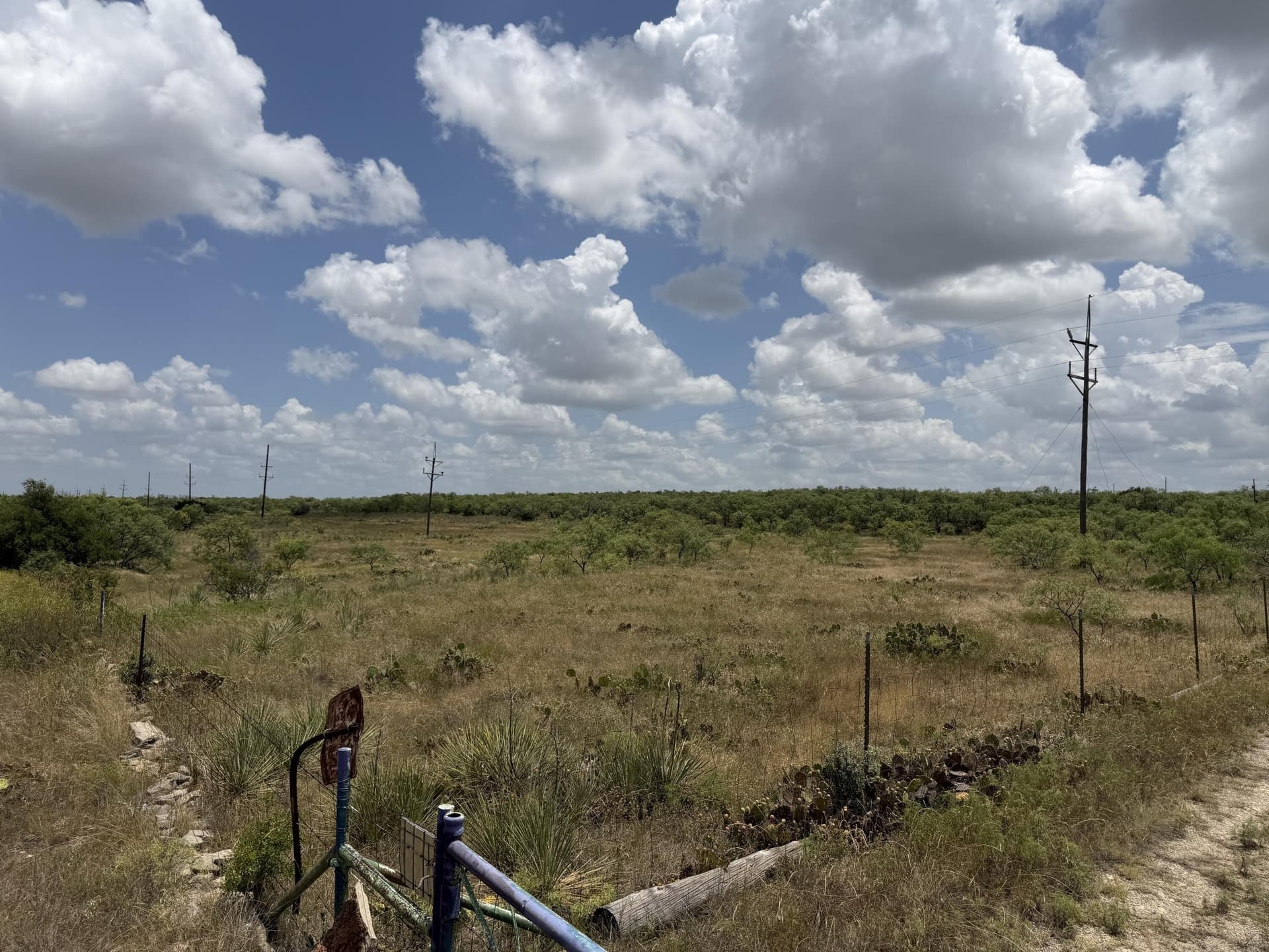 19.95 acres in Runnels County - photo 19