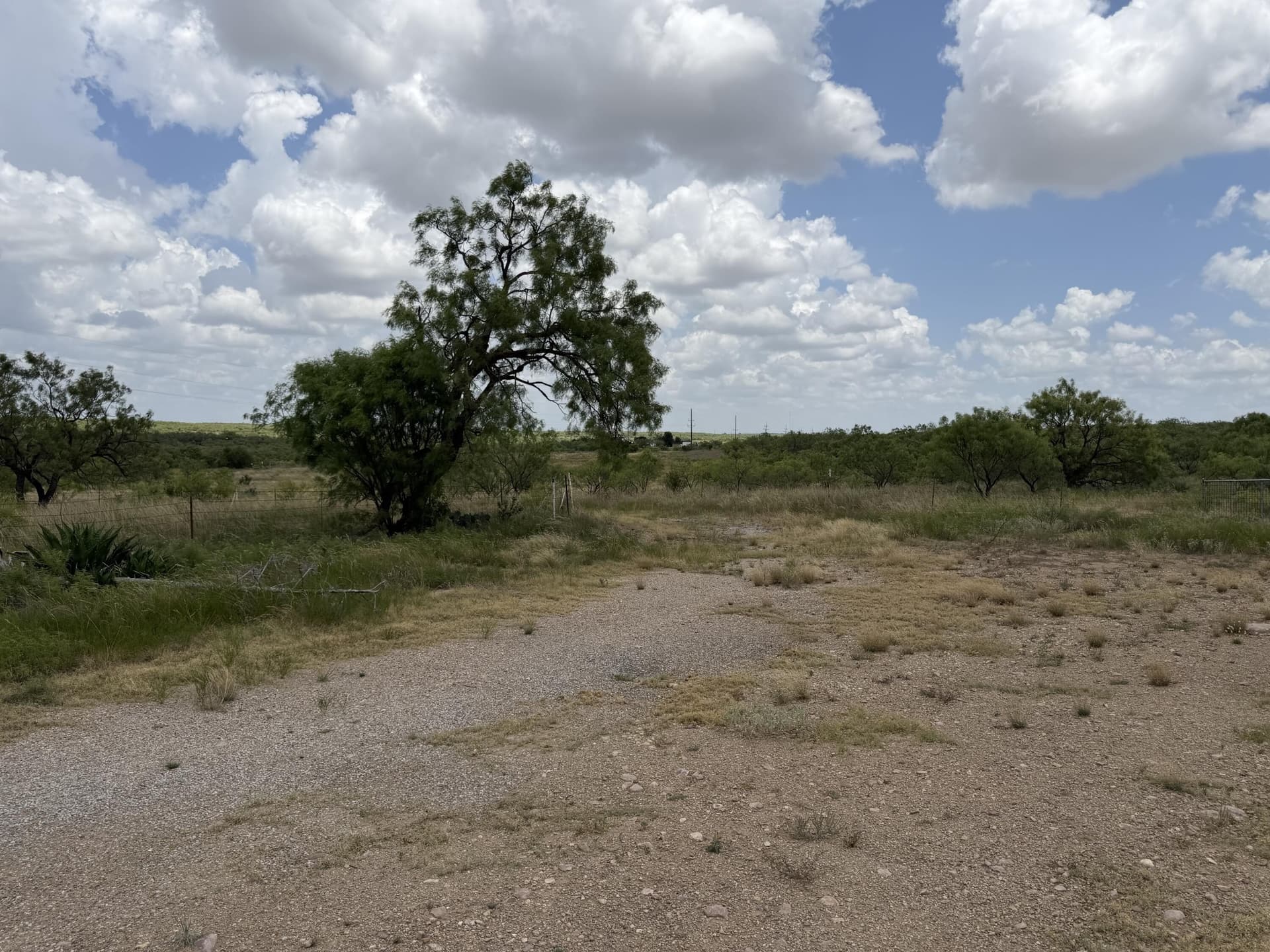 19.95 acres in Runnels County - photo 18