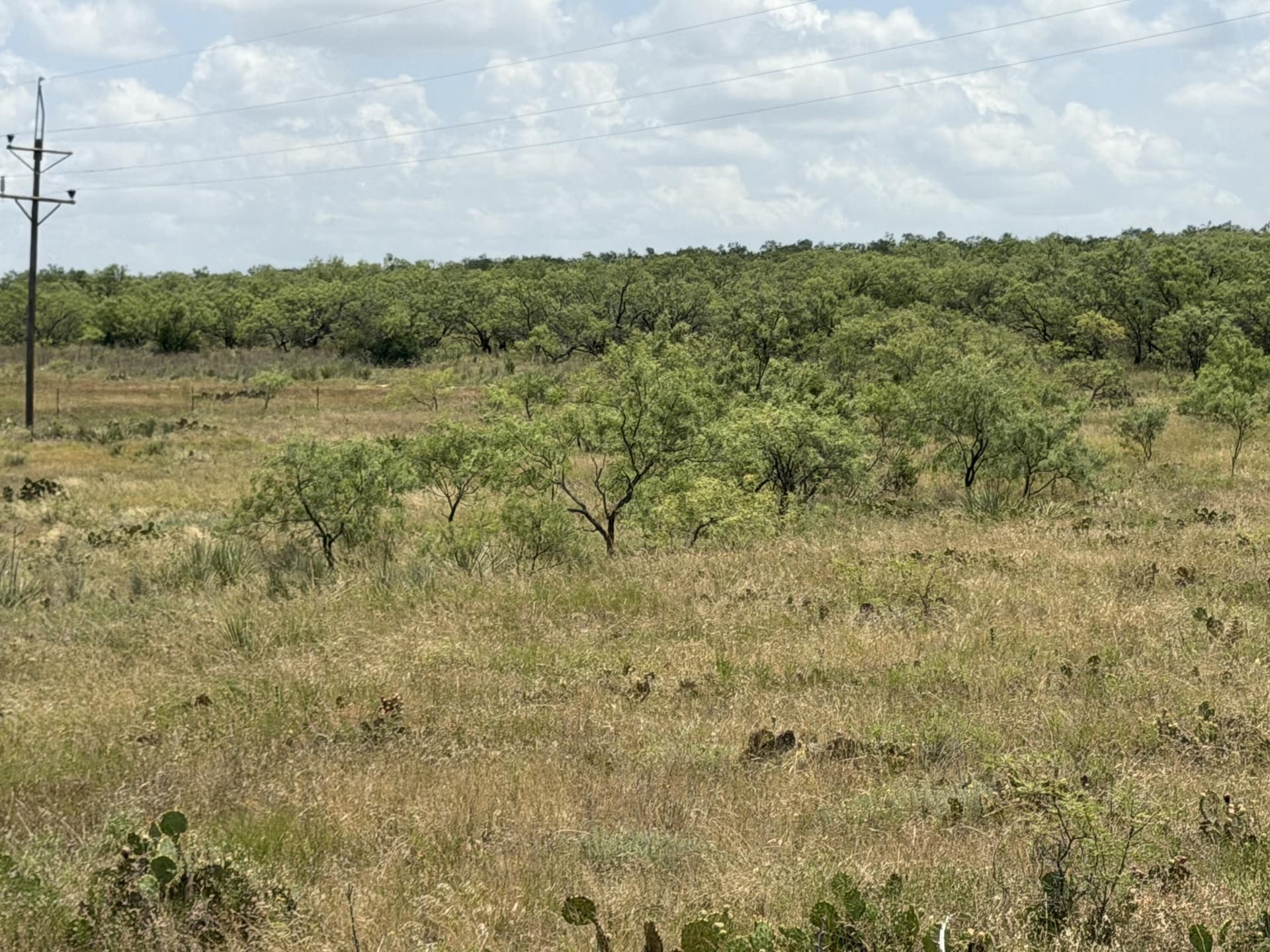 19.95 acres in Runnels County - photo 20