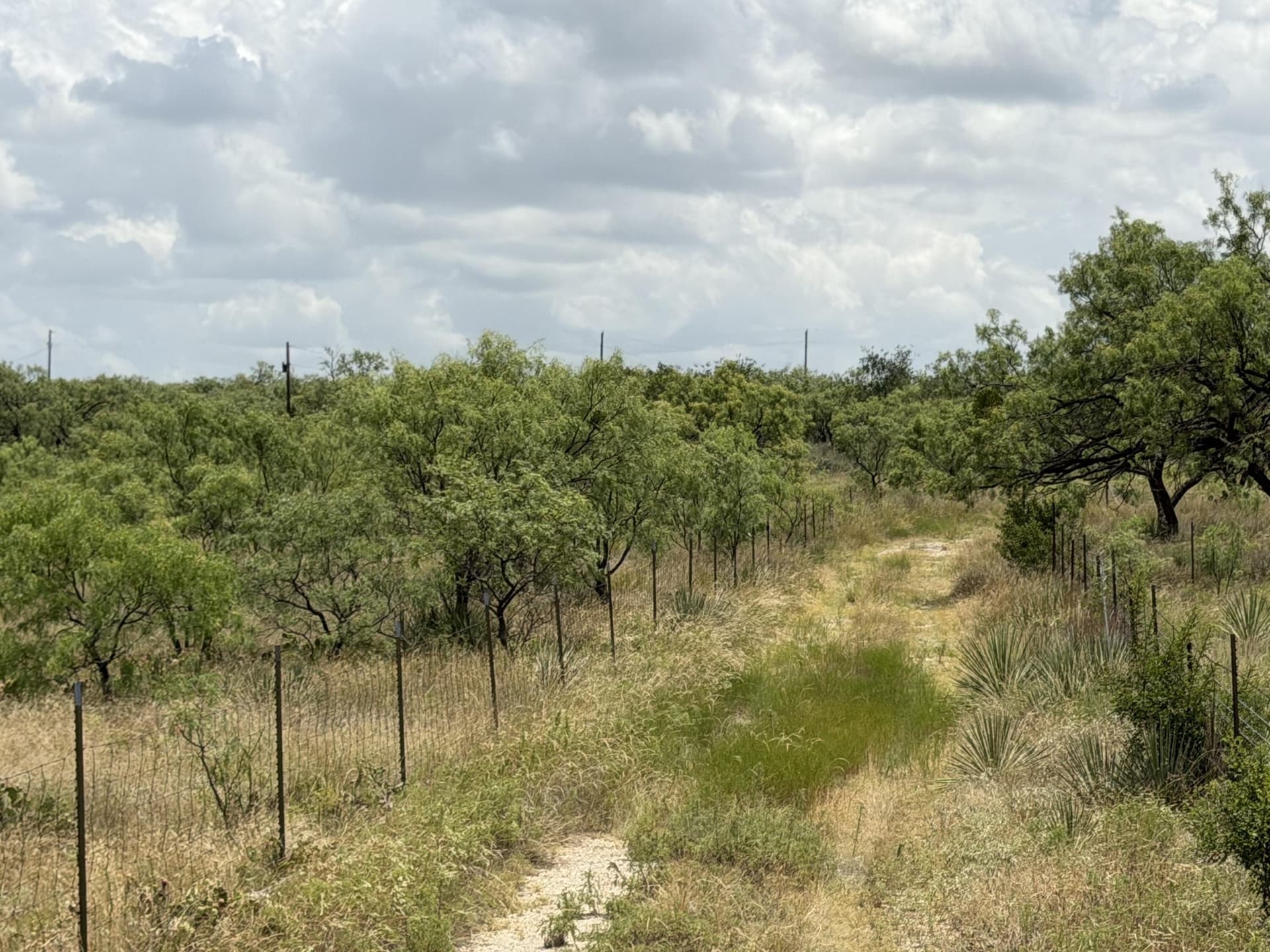 19.95 acres in Runnels County - photo 21