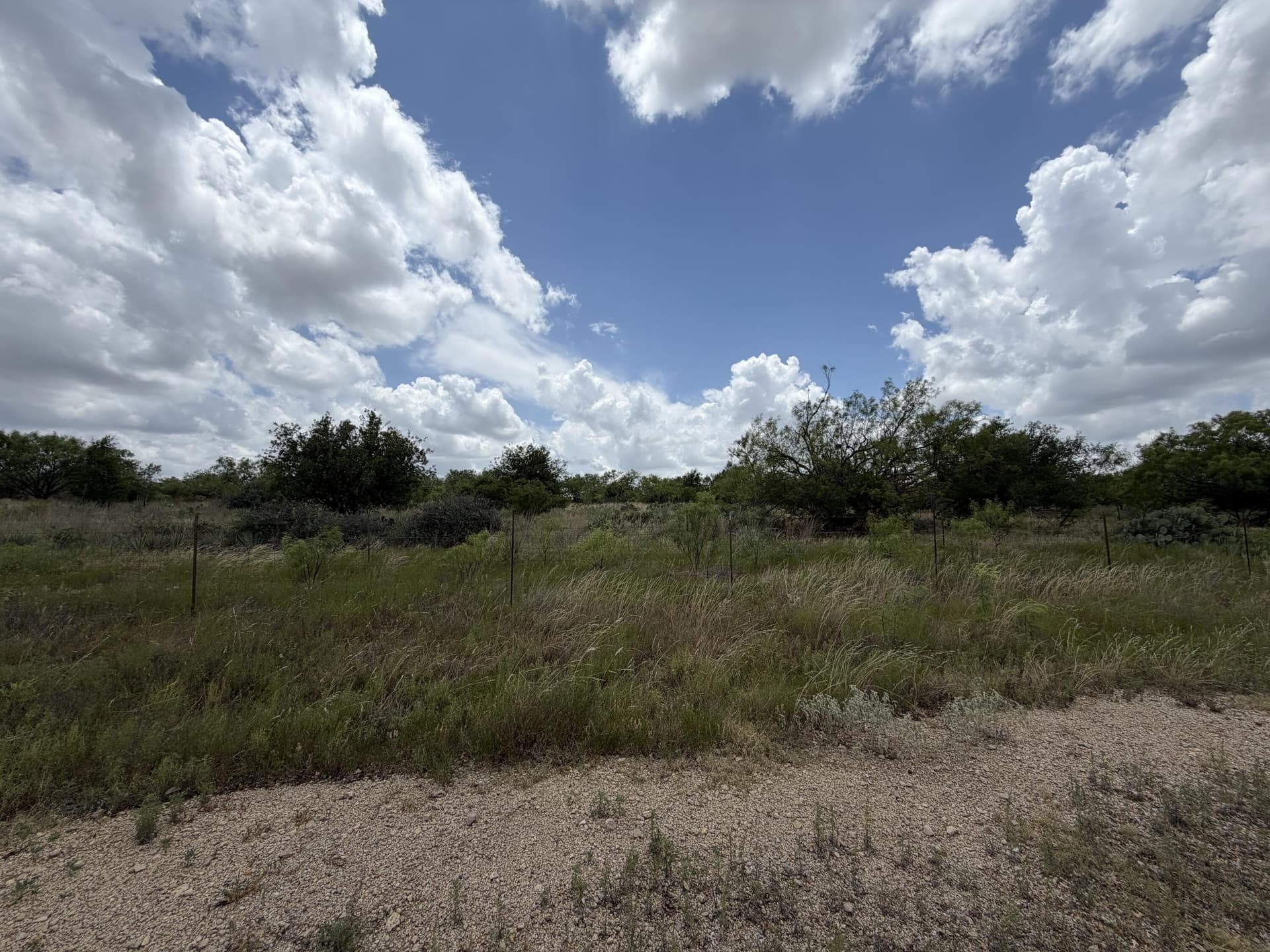19.95 acres in Runnels County - photo 15