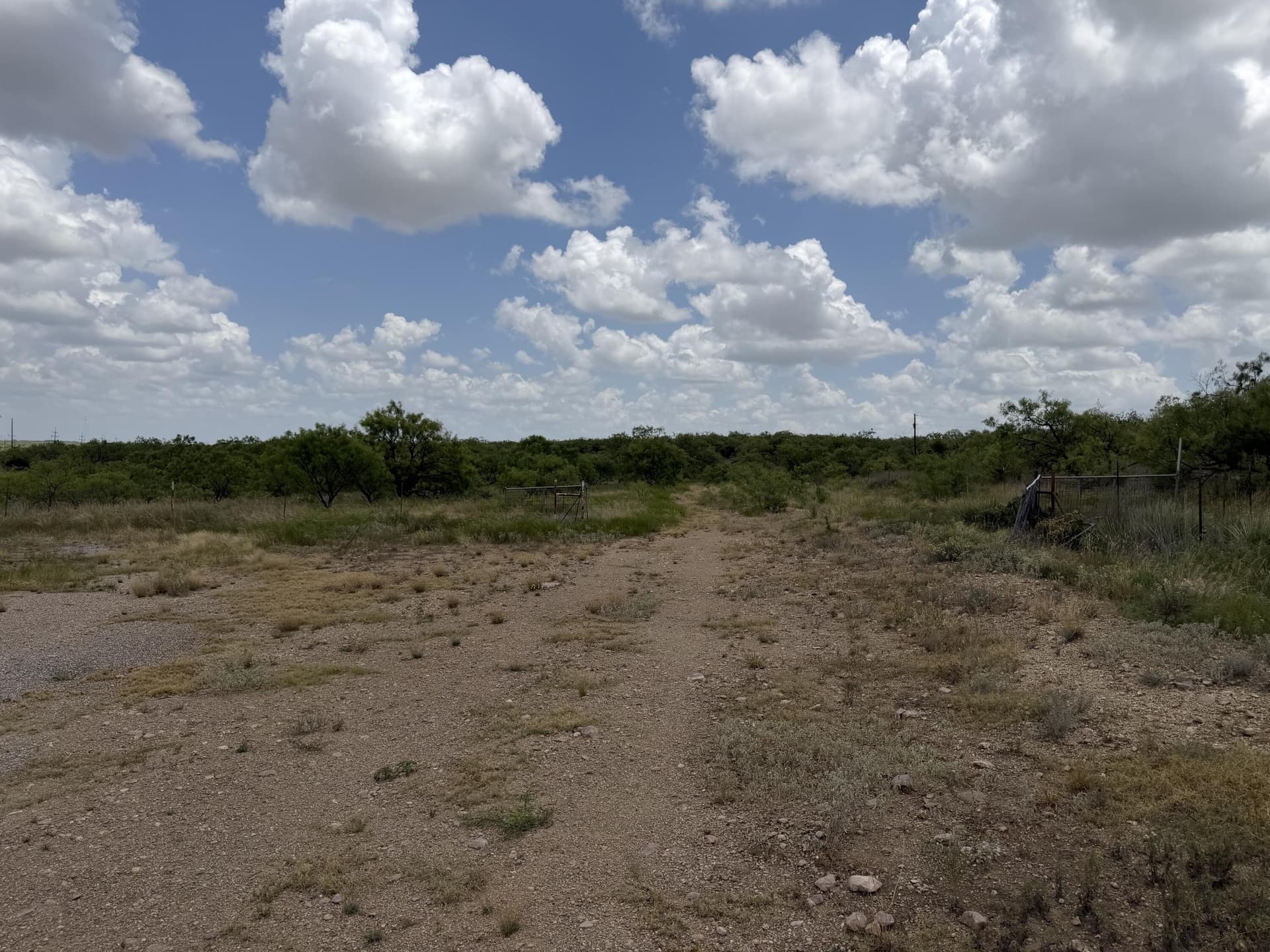 19.95 acres in Runnels County - photo 17